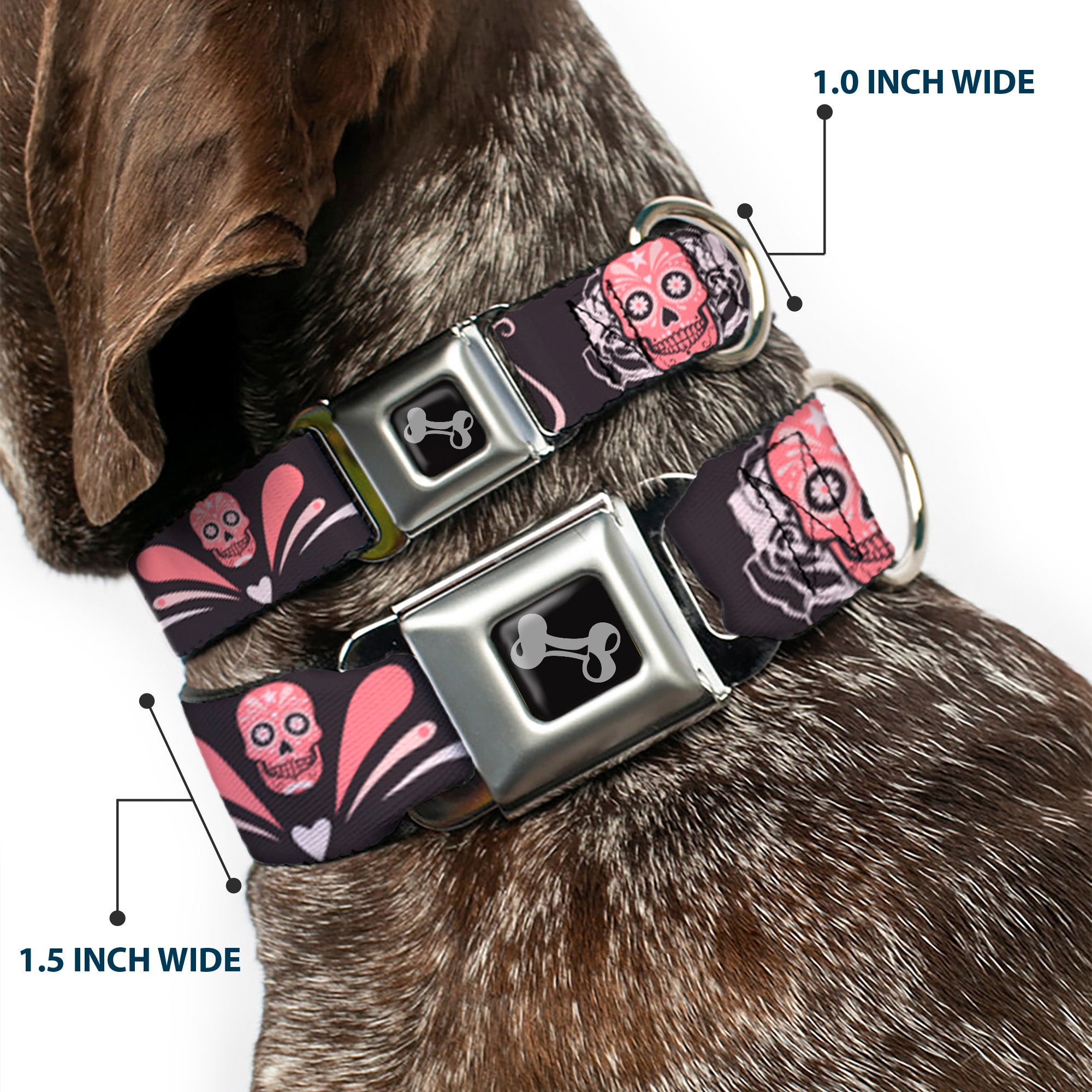 Dog Bone Seatbelt Buckle Collar - Sugar Skulls Gray/Pink Seatbelt Buckle Collars Buckle-Down