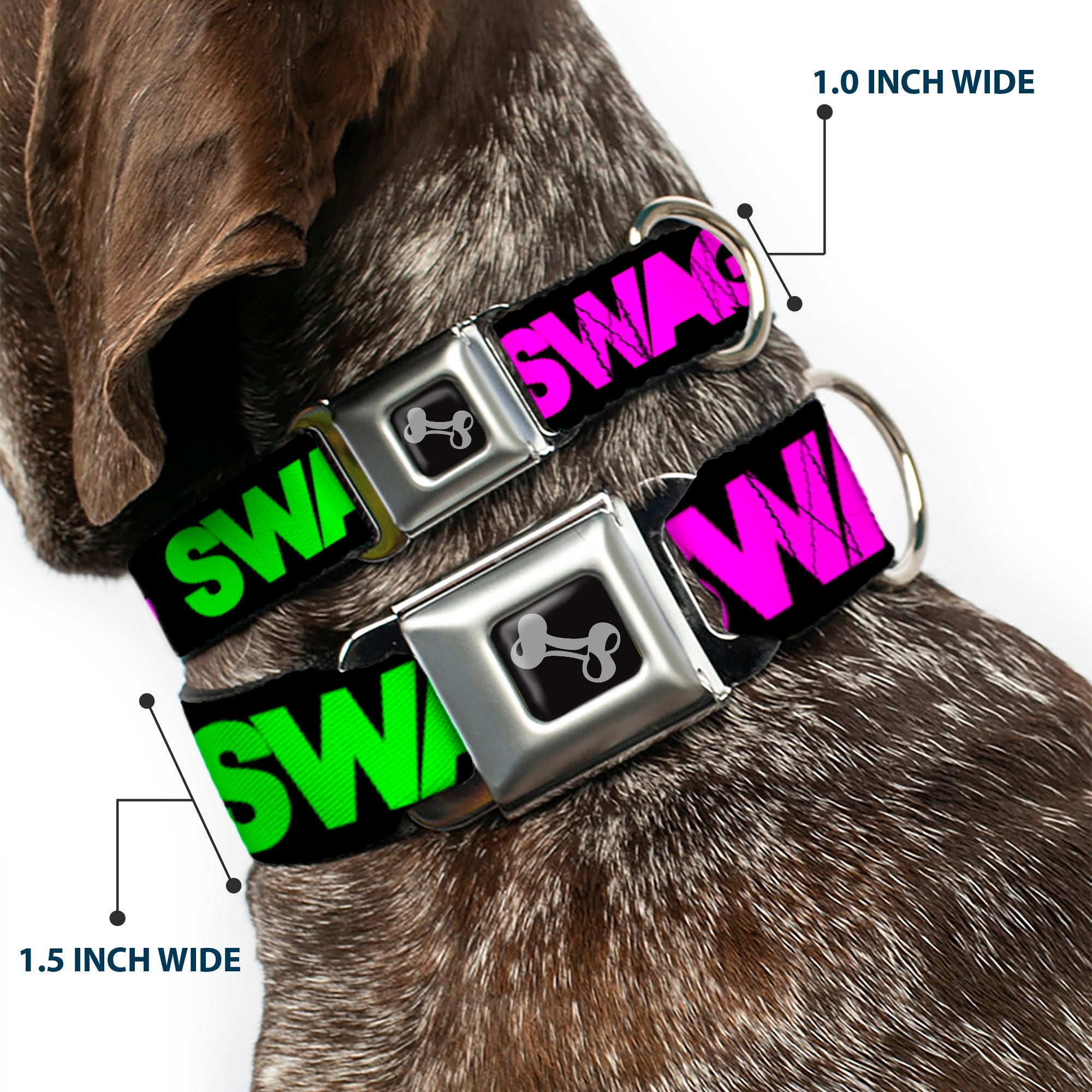 Dog Bone Seatbelt Buckle Collar - SWAGG Black/Hot Pink/Turquoise/Purple/Neon Green Seatbelt Buckle Collars Buckle-Down
