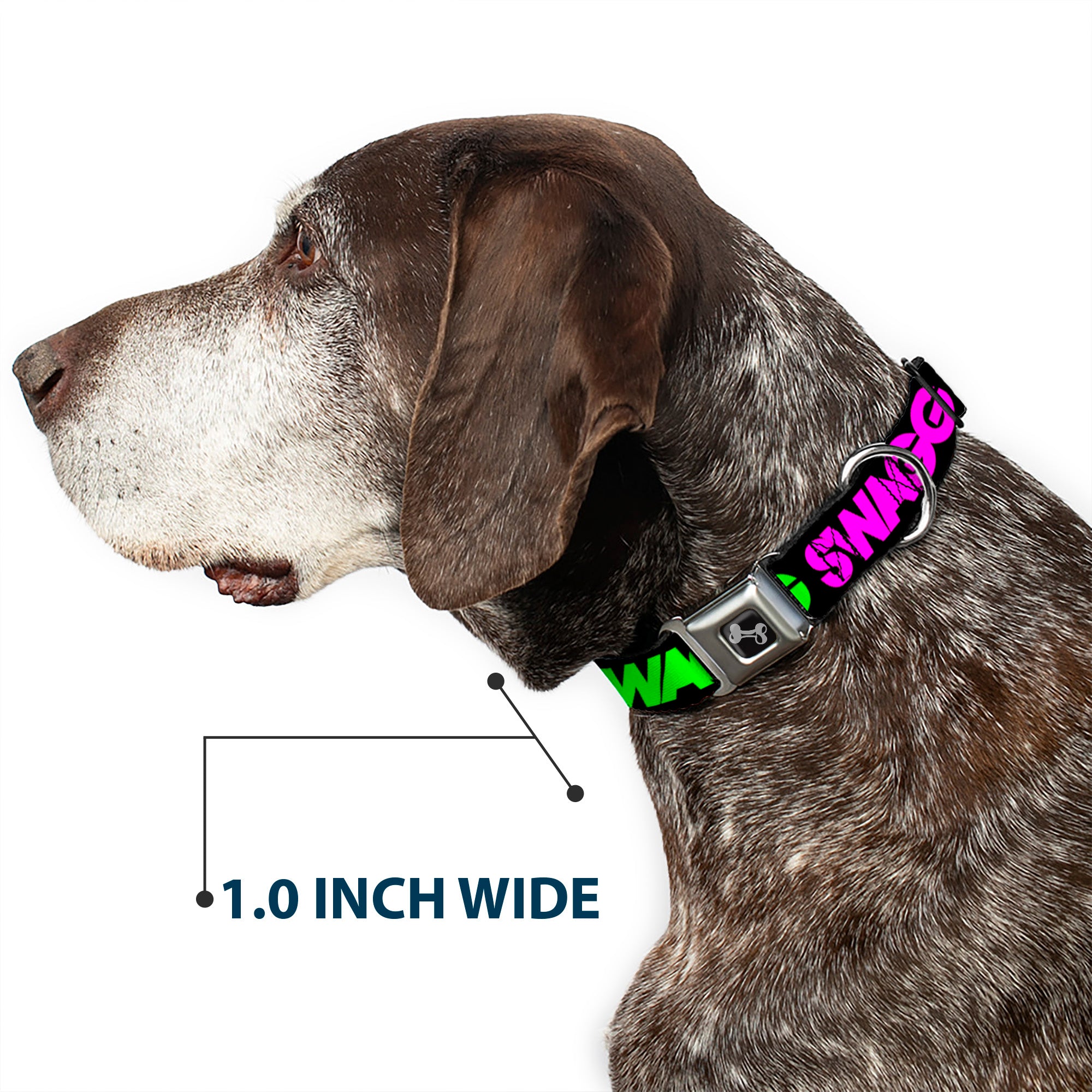 Dog Bone Seatbelt Buckle Collar - SWAGG Black/Hot Pink/Turquoise/Purple/Neon Green Seatbelt Buckle Collars Buckle-Down