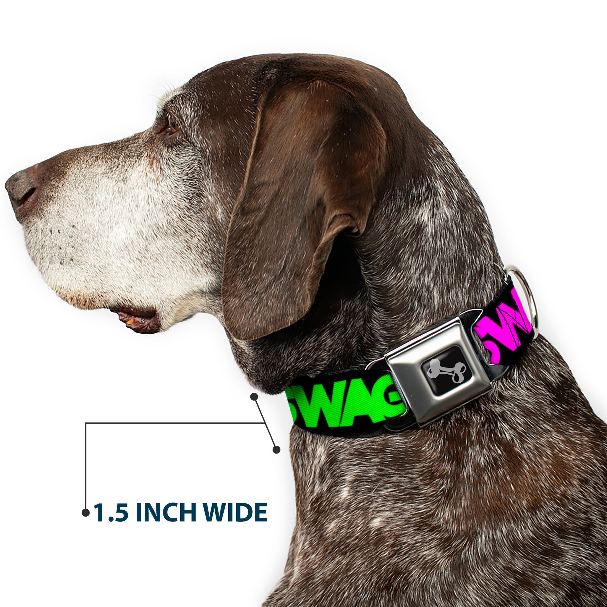 Dog Bone Seatbelt Buckle Collar - SWAGG Black/Hot Pink/Turquoise/Purple/Neon Green Seatbelt Buckle Collars Buckle-Down