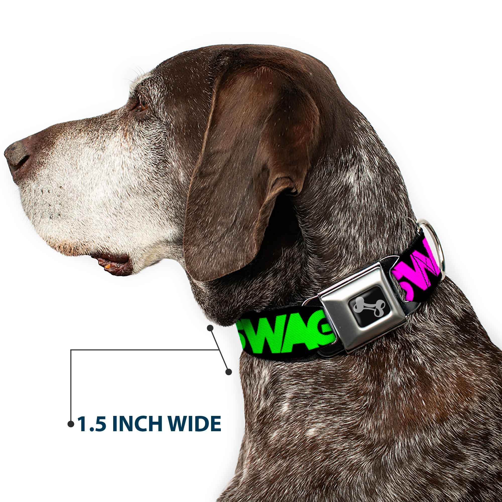 Dog Bone Seatbelt Buckle Collar - SWAGG Black/Hot Pink/Turquoise/Purple/Neon Green Seatbelt Buckle Collars Buckle-Down