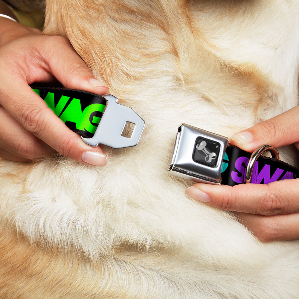 Dog Bone Seatbelt Buckle Collar - SWAGG Black/Hot Pink/Turquoise/Purple/Neon Green Seatbelt Buckle Collars Buckle-Down