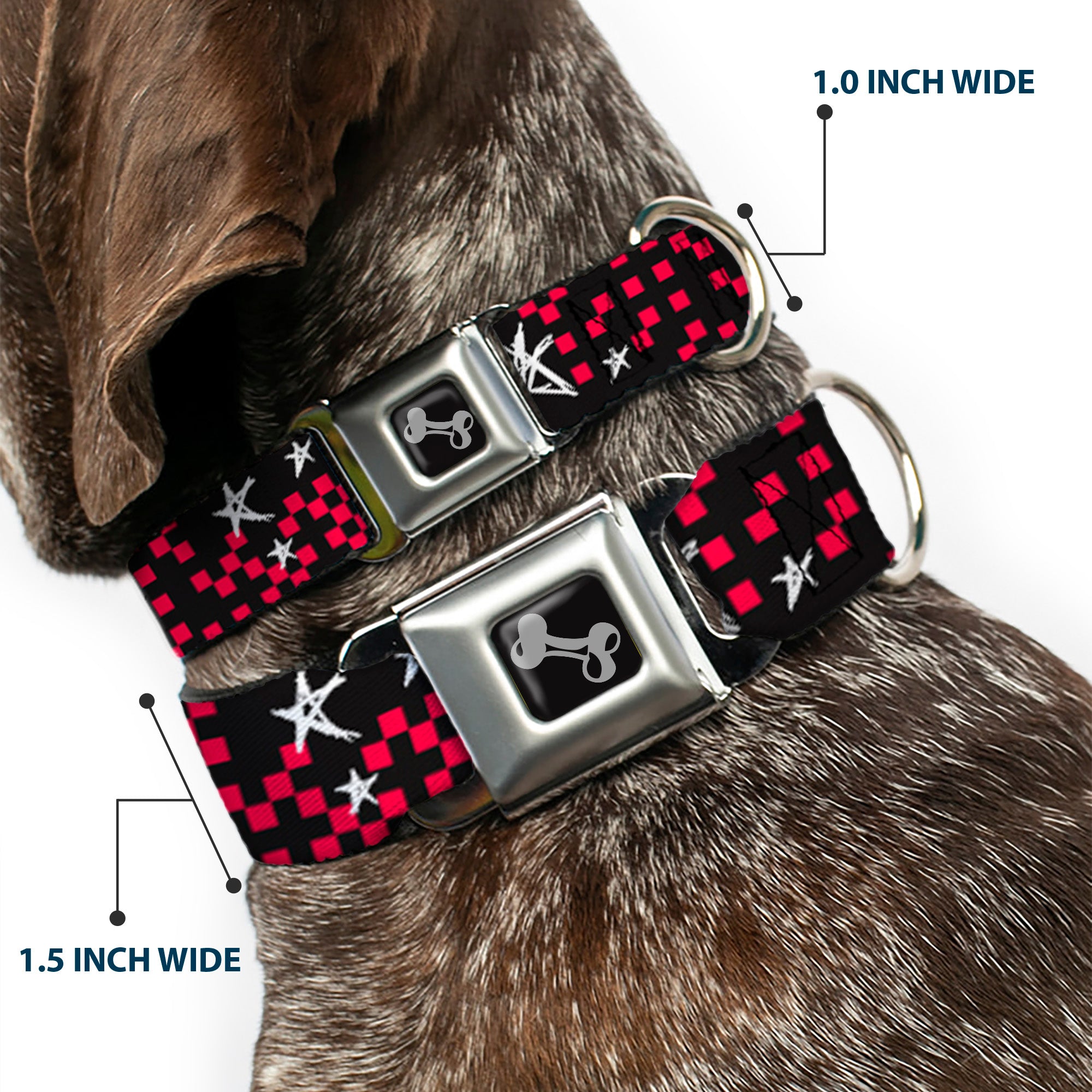 Dog Bone Seatbelt Buckle Collar - Sketch Stars w/Checkers Black/Fuchsia/White Seatbelt Buckle Collars Buckle-Down