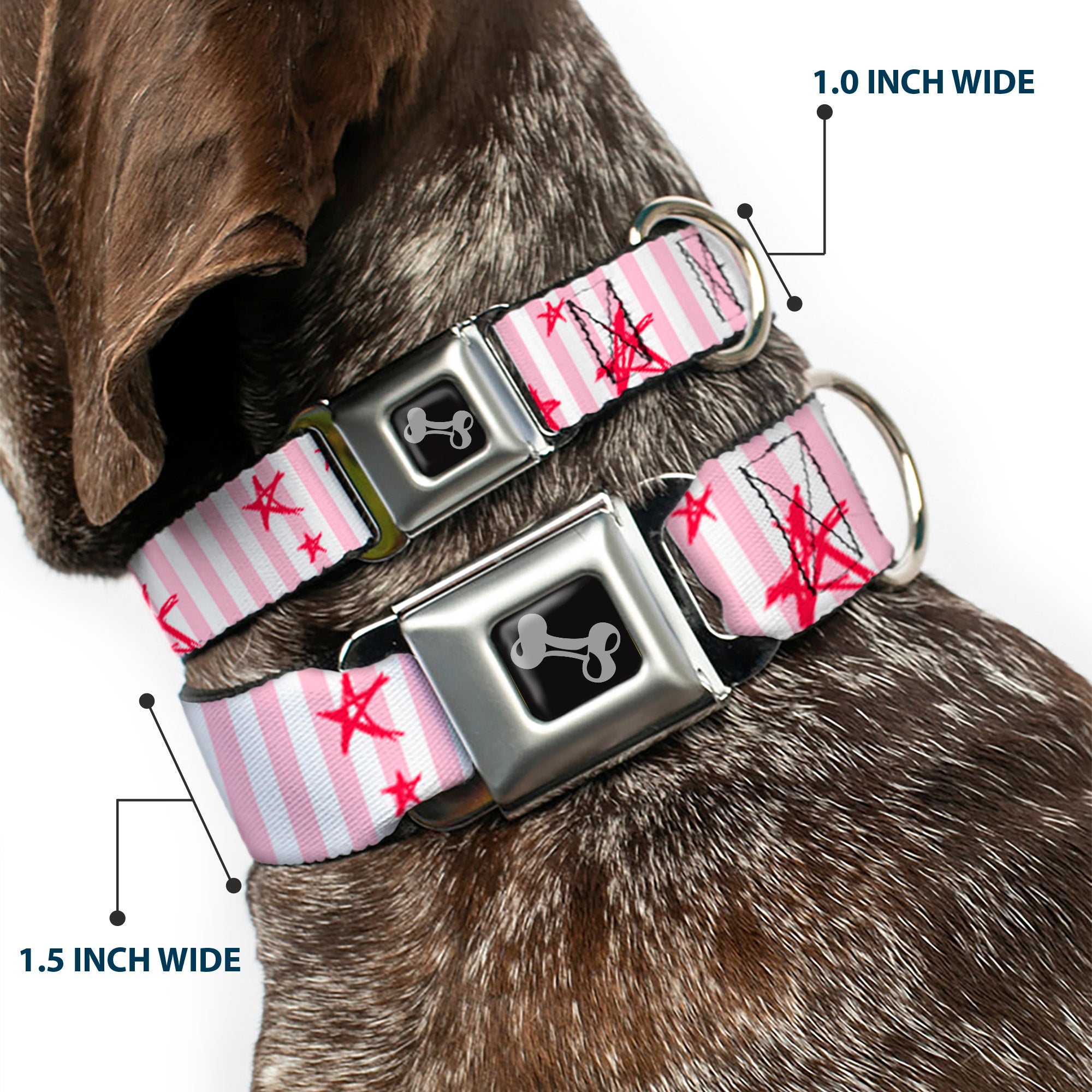 Dog Bone Seatbelt Buckle Collar - Sketch Stars w/Stripes Pink/White/Fuchsia Seatbelt Buckle Collars Buckle-Down