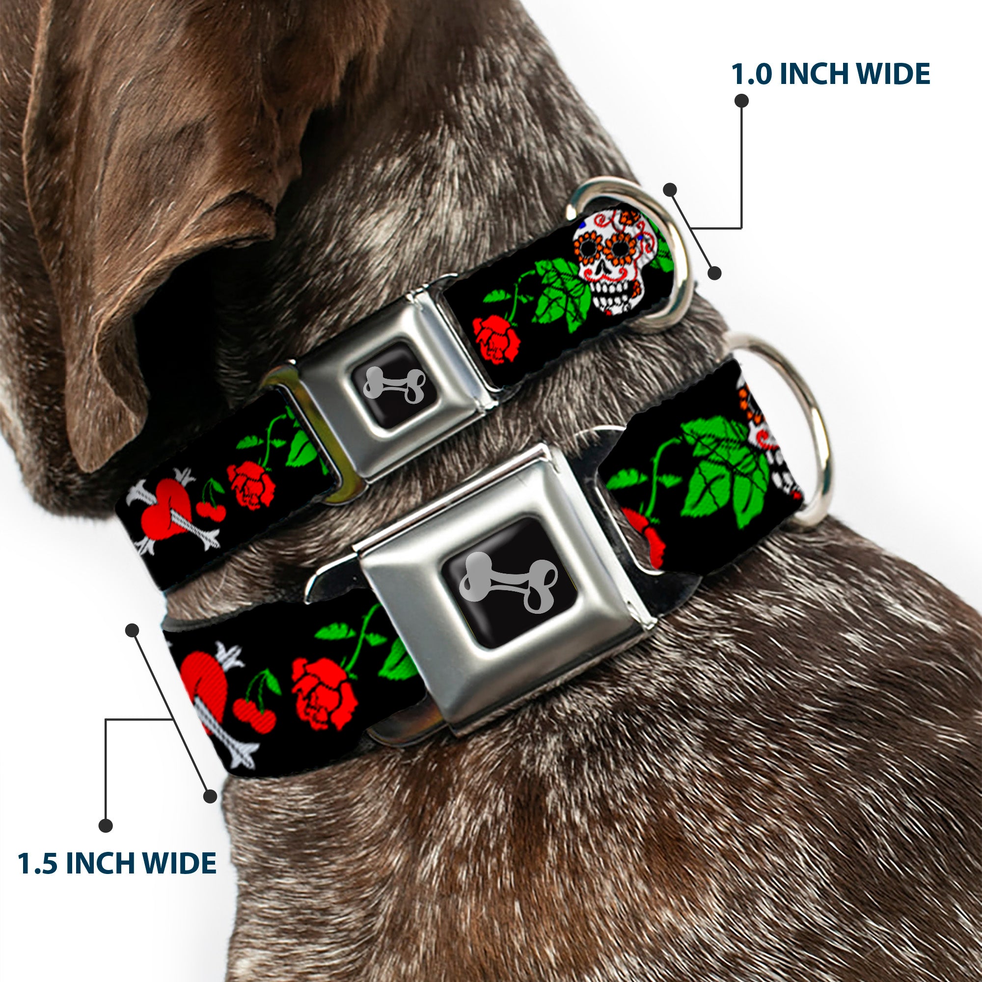 Dog Bone Seatbelt Buckle Collar - Sugar Skull w/Roses & Heart Seatbelt Buckle Collars Buckle-Down