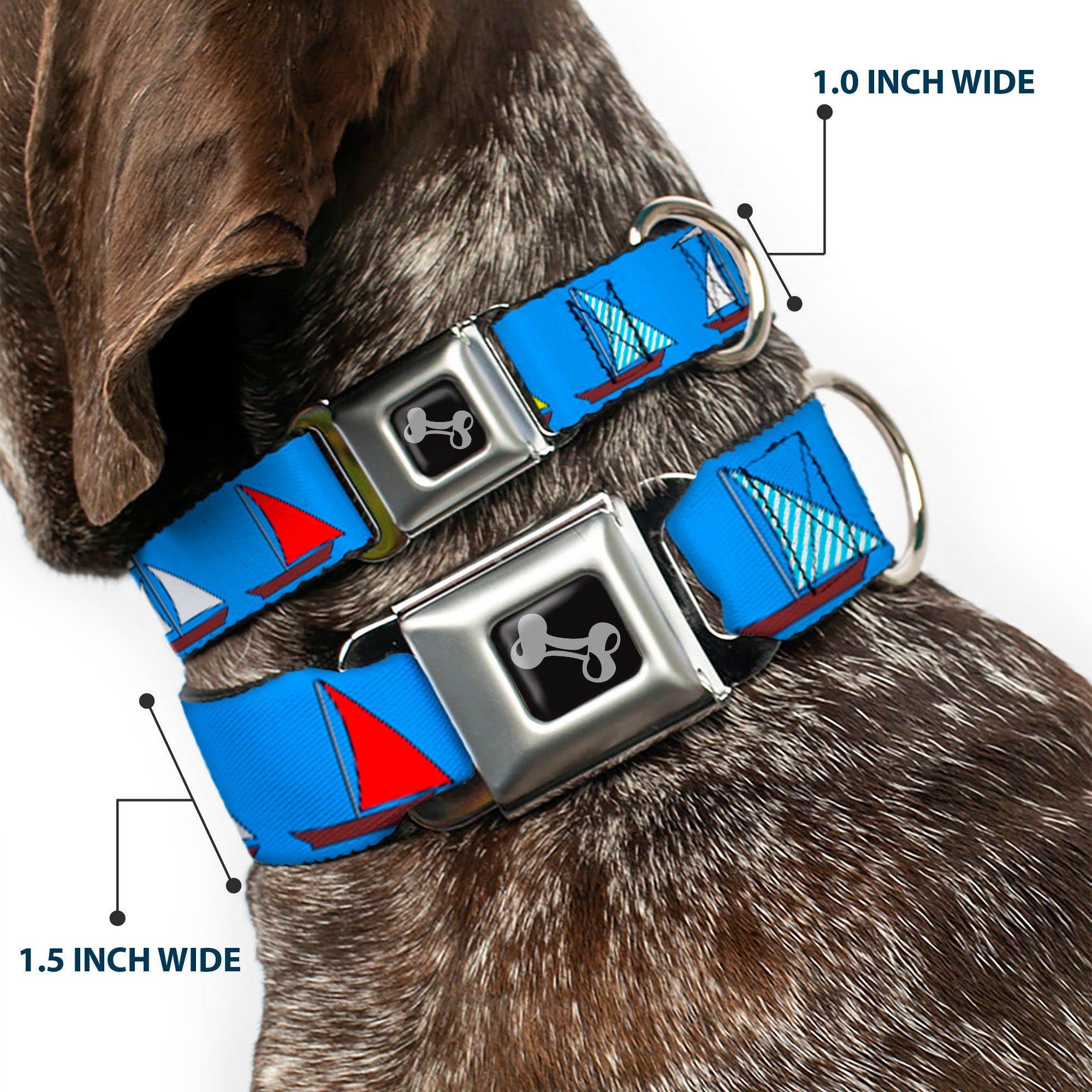 Dog Bone Seatbelt Buckle Collar - Sailboats Blue Seatbelt Buckle Collars Buckle-Down