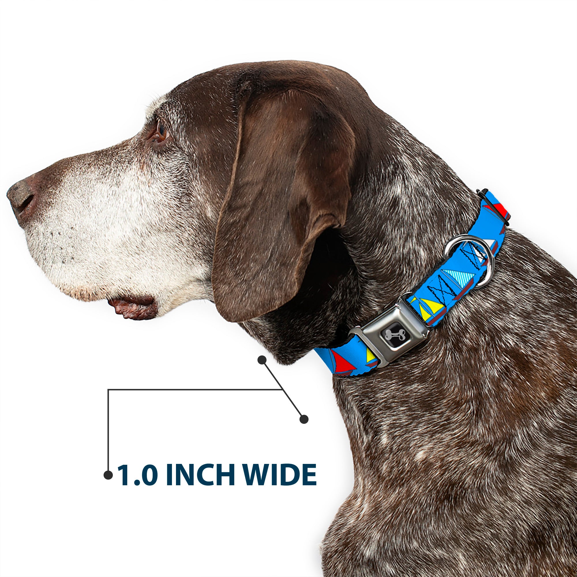 Dog Bone Seatbelt Buckle Collar - Sailboats Blue Seatbelt Buckle Collars Buckle-Down
