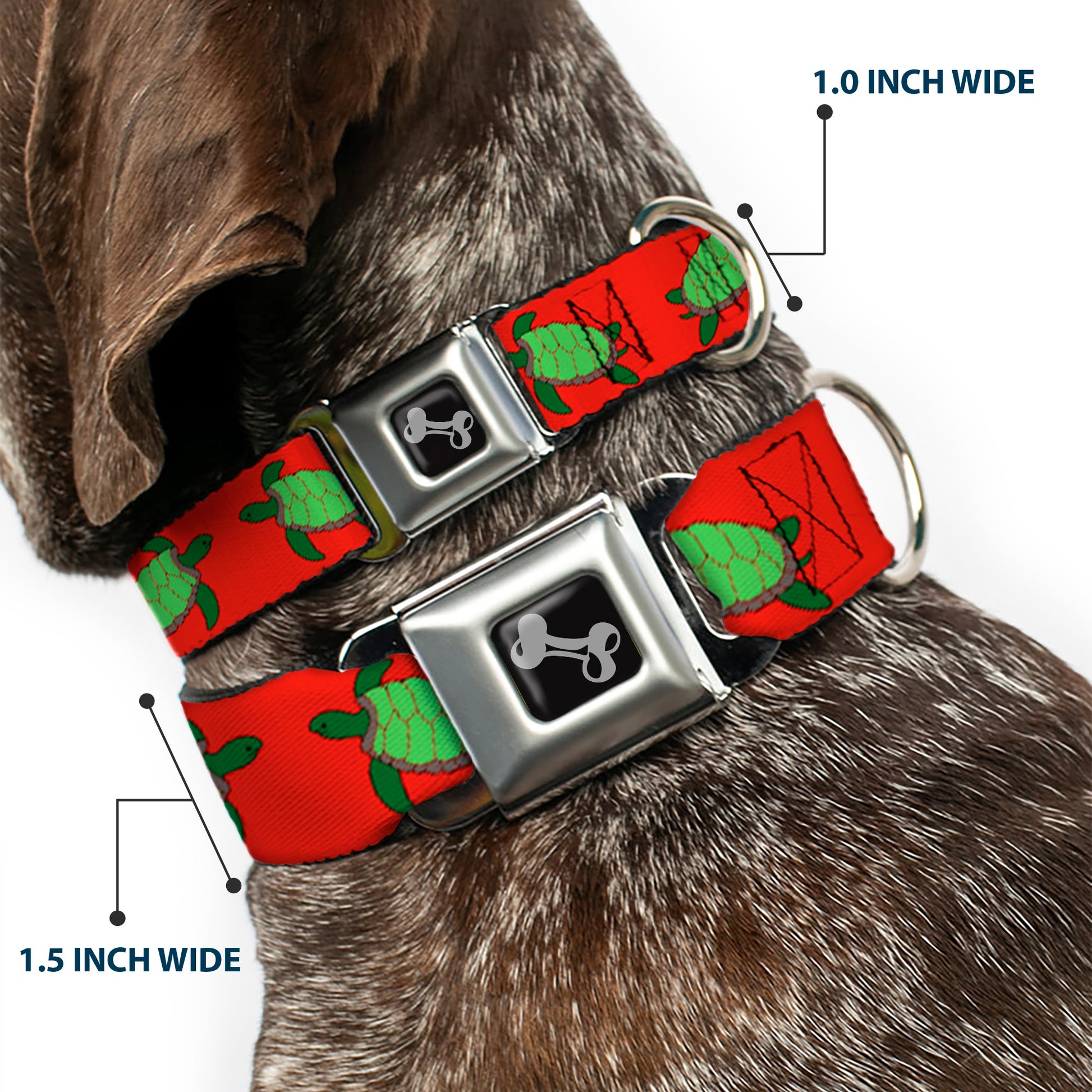 Dog Bone Seatbelt Buckle Collar - Sea Turtles Red/Green Seatbelt Buckle Collars Buckle-Down