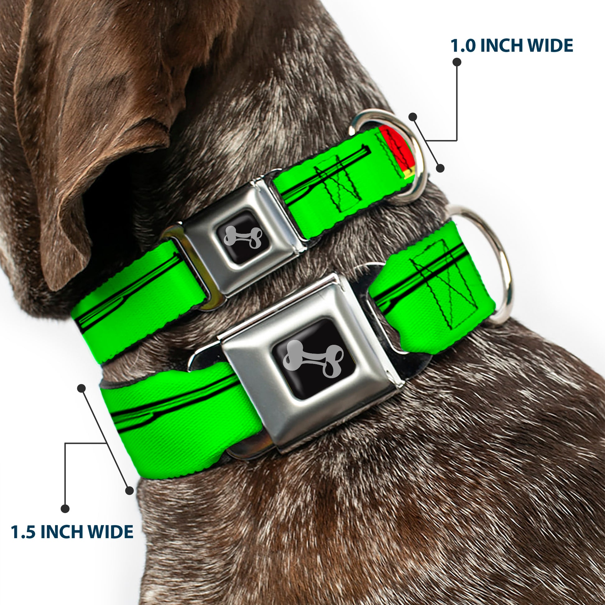 Buckle-Down Seatbelt Buckle Dog Collar - Shotgun & Shells Green Seatbelt Buckle Collars Buckle-Down