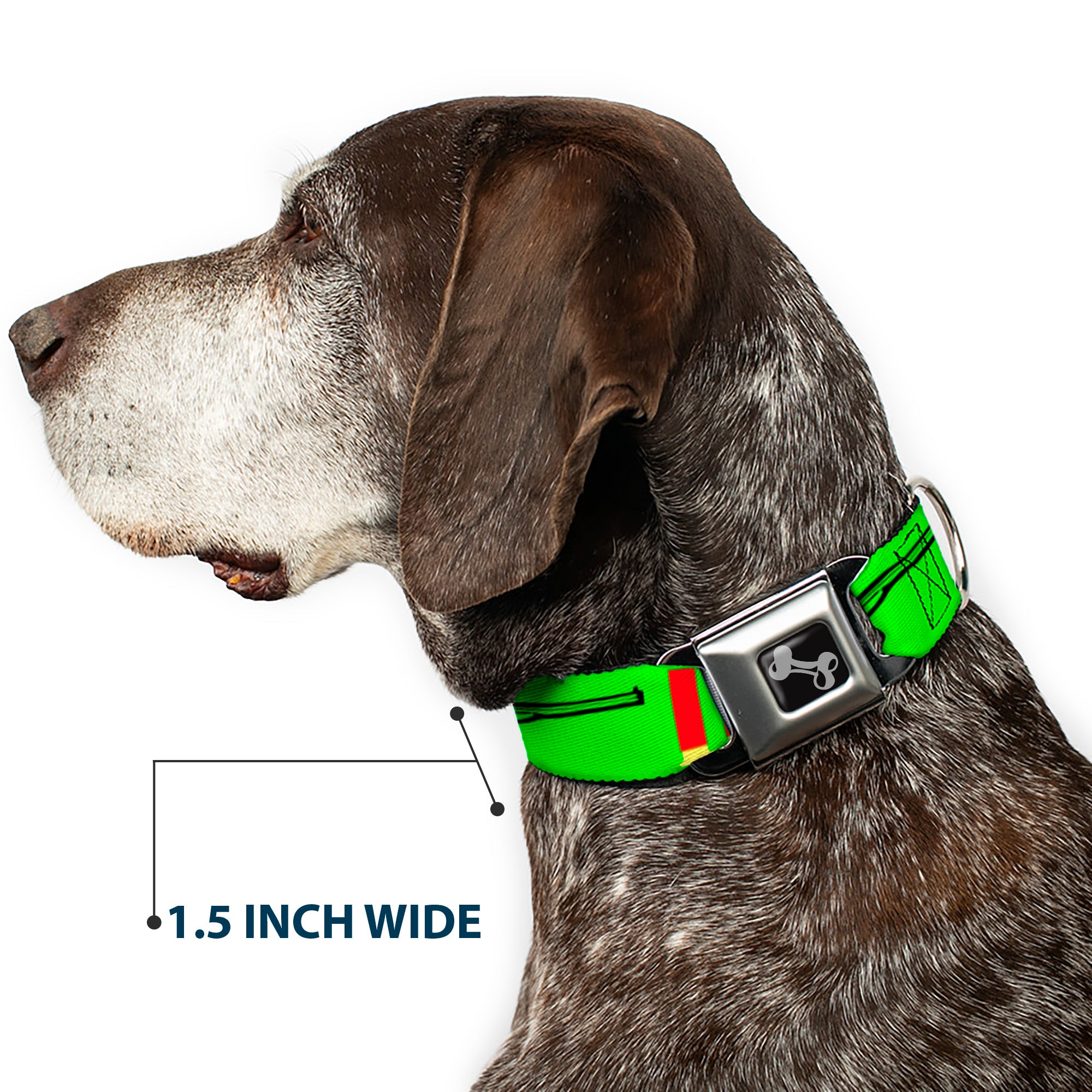 Buckle-Down Seatbelt Buckle Dog Collar - Shotgun & Shells Green Seatbelt Buckle Collars Buckle-Down