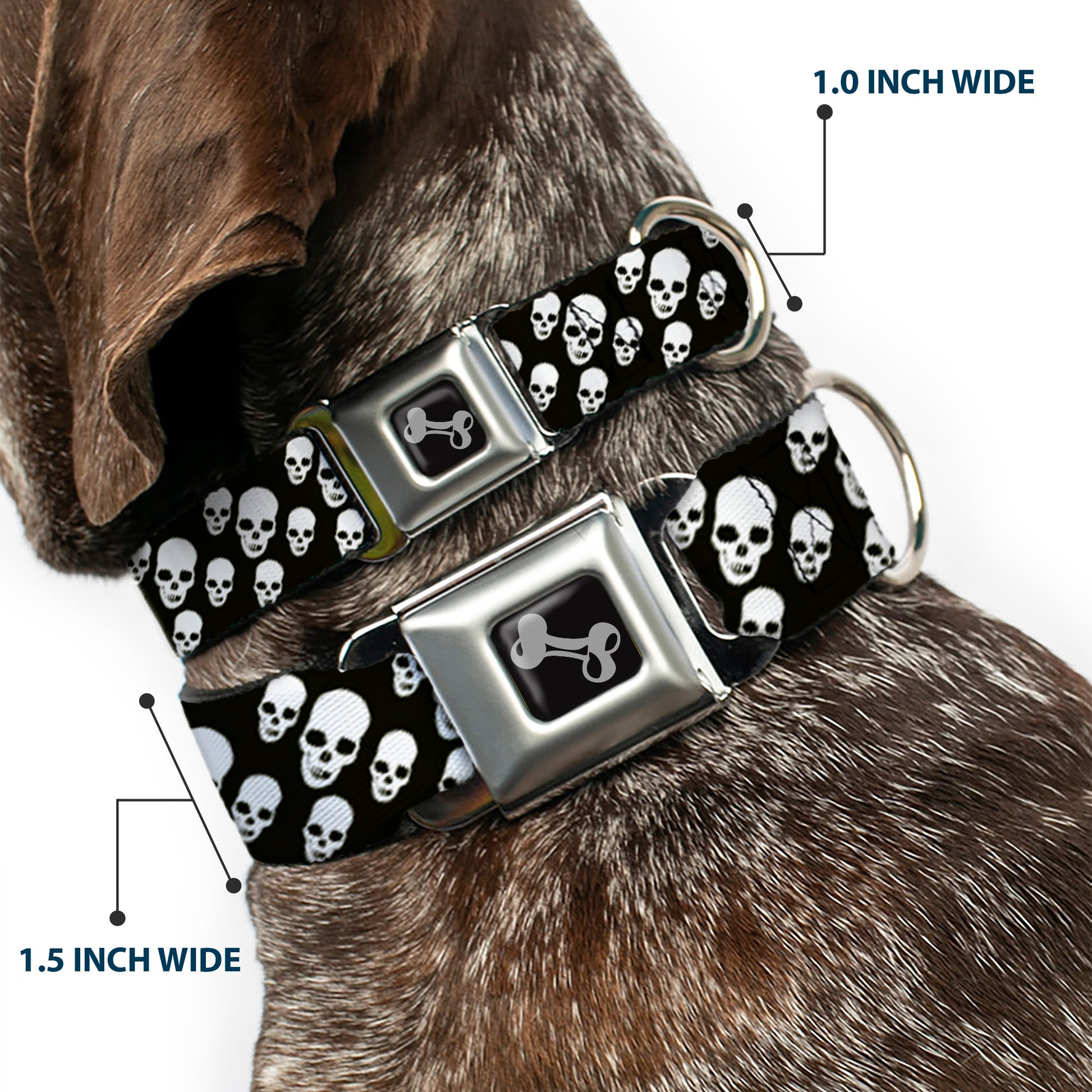 Dog Bone Seatbelt Buckle Collar - Tilted Skulls Black/White Seatbelt Buckle Collars Buckle-Down