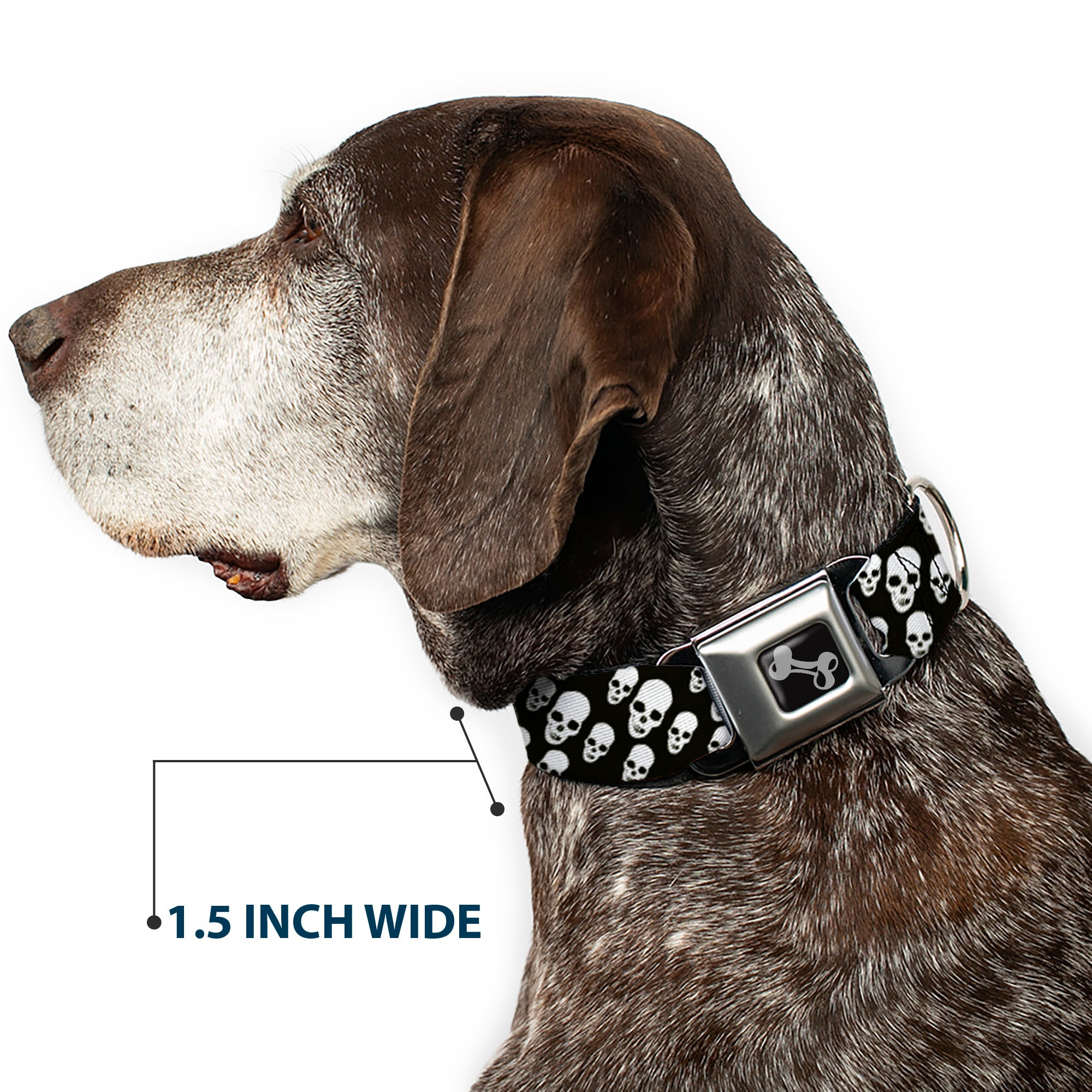 Dog Bone Seatbelt Buckle Collar - Tilted Skulls Black/White Seatbelt Buckle Collars Buckle-Down