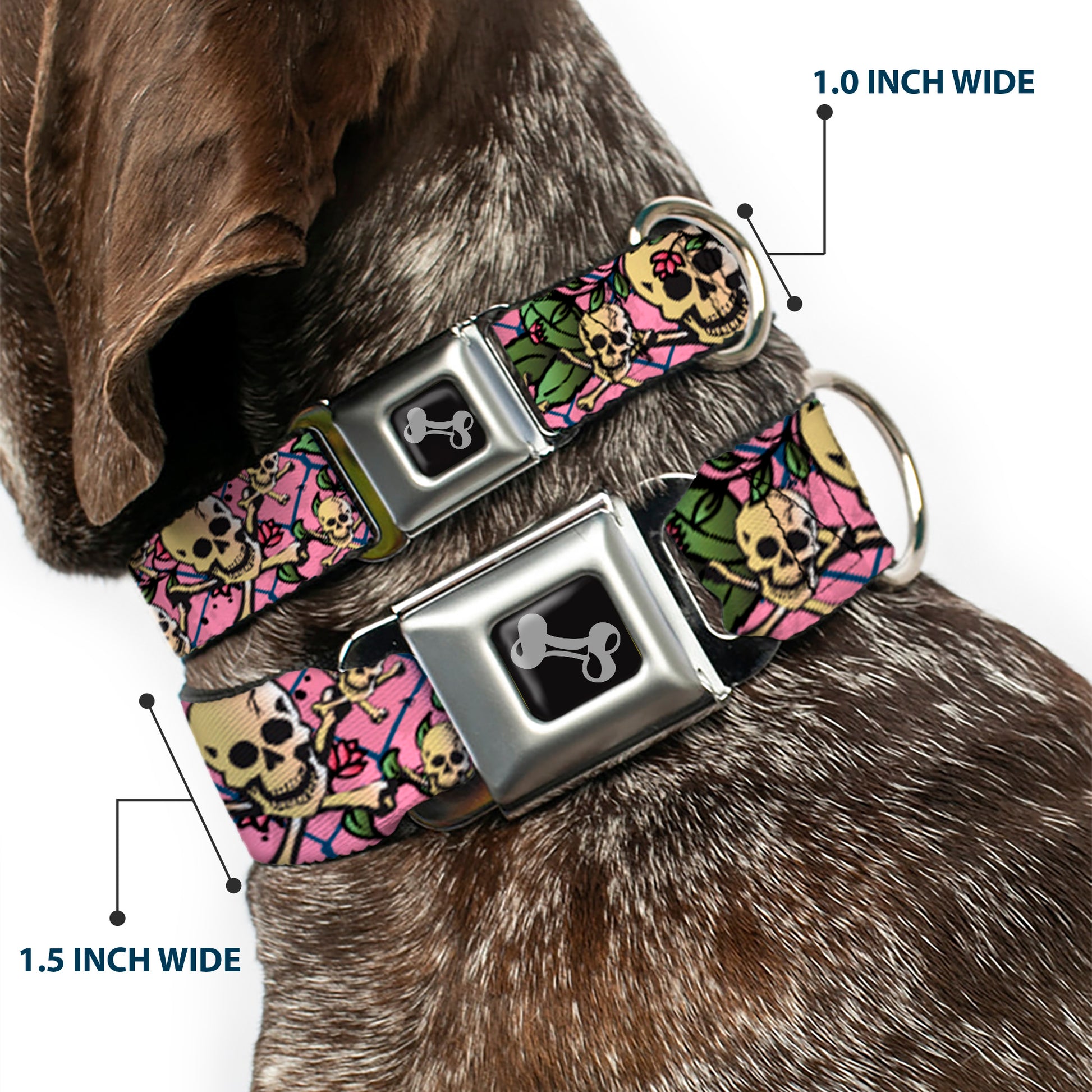 Dog Bone Seatbelt Buckle Collar - Trust No One Pink Seatbelt Buckle Collars Buckle-Down