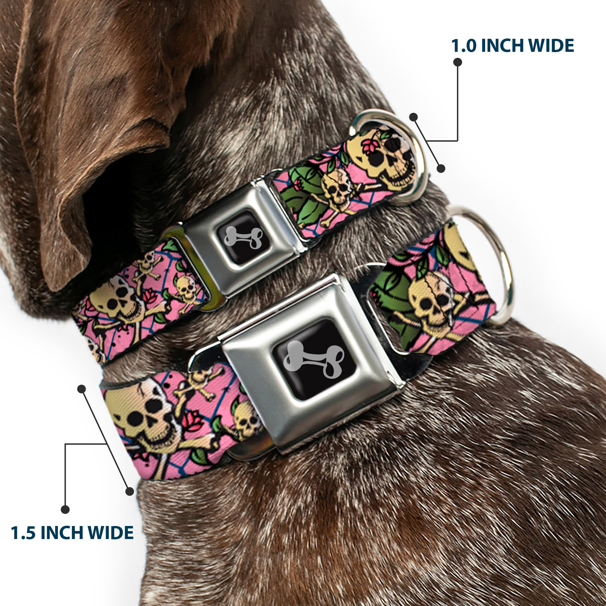 Dog Bone Seatbelt Buckle Collar - Trust No One Pink Seatbelt Buckle Collars Buckle-Down
