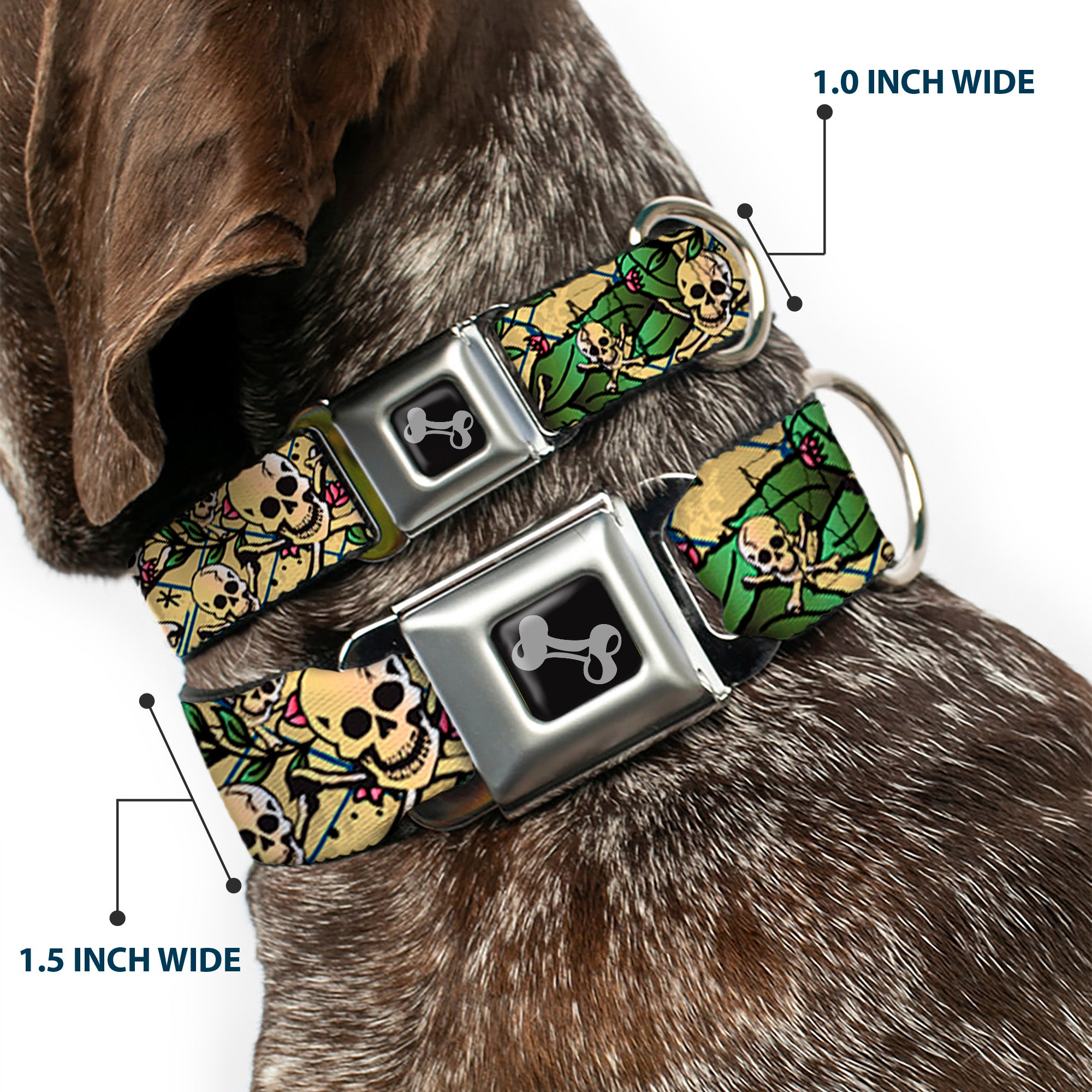 Dog Bone Seatbelt Buckle Collar - Trust No One Tan Seatbelt Buckle Collars Buckle-Down