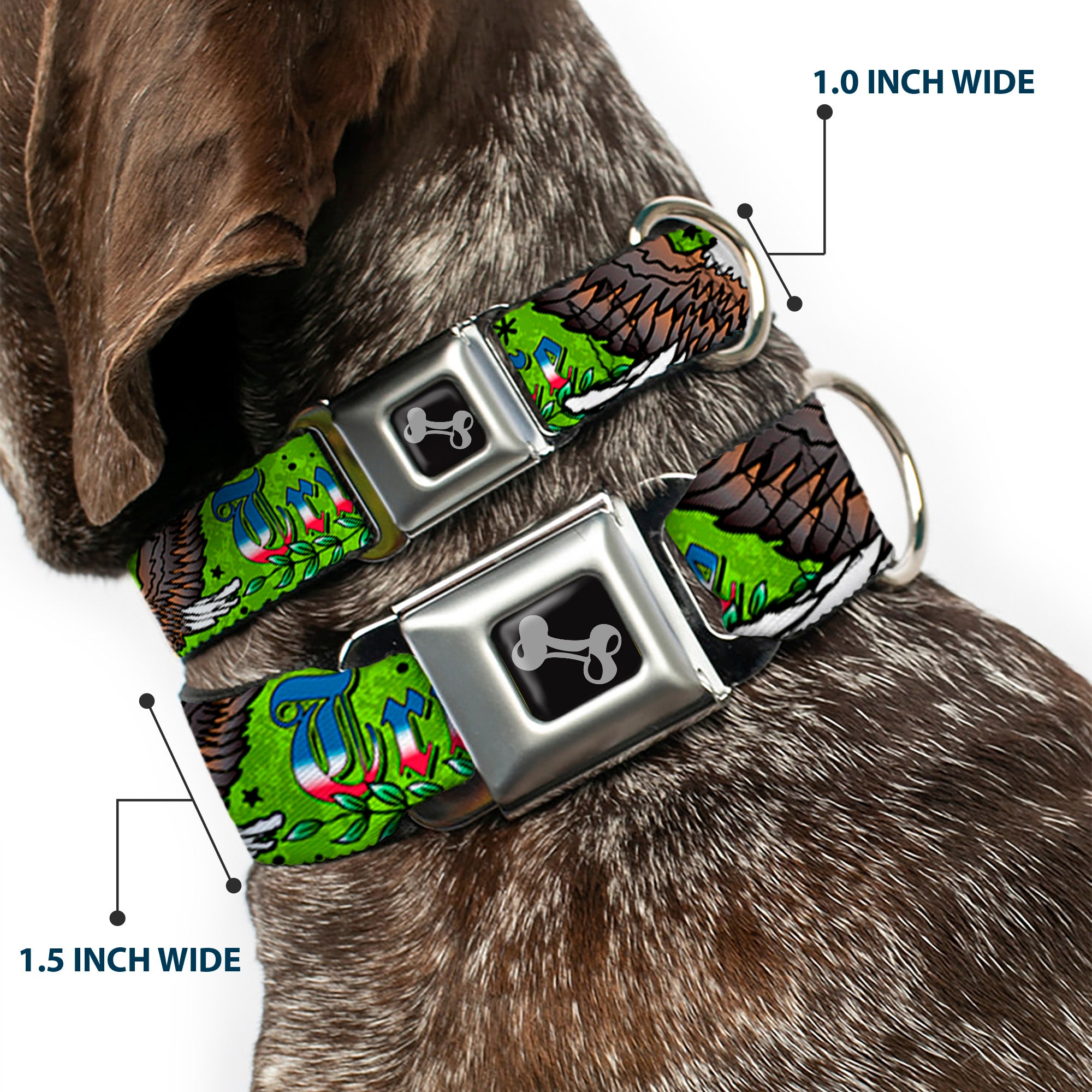 Dog Bone Seatbelt Buckle Collar - Truth and Justice Green Seatbelt Buckle Collars Buckle-Down