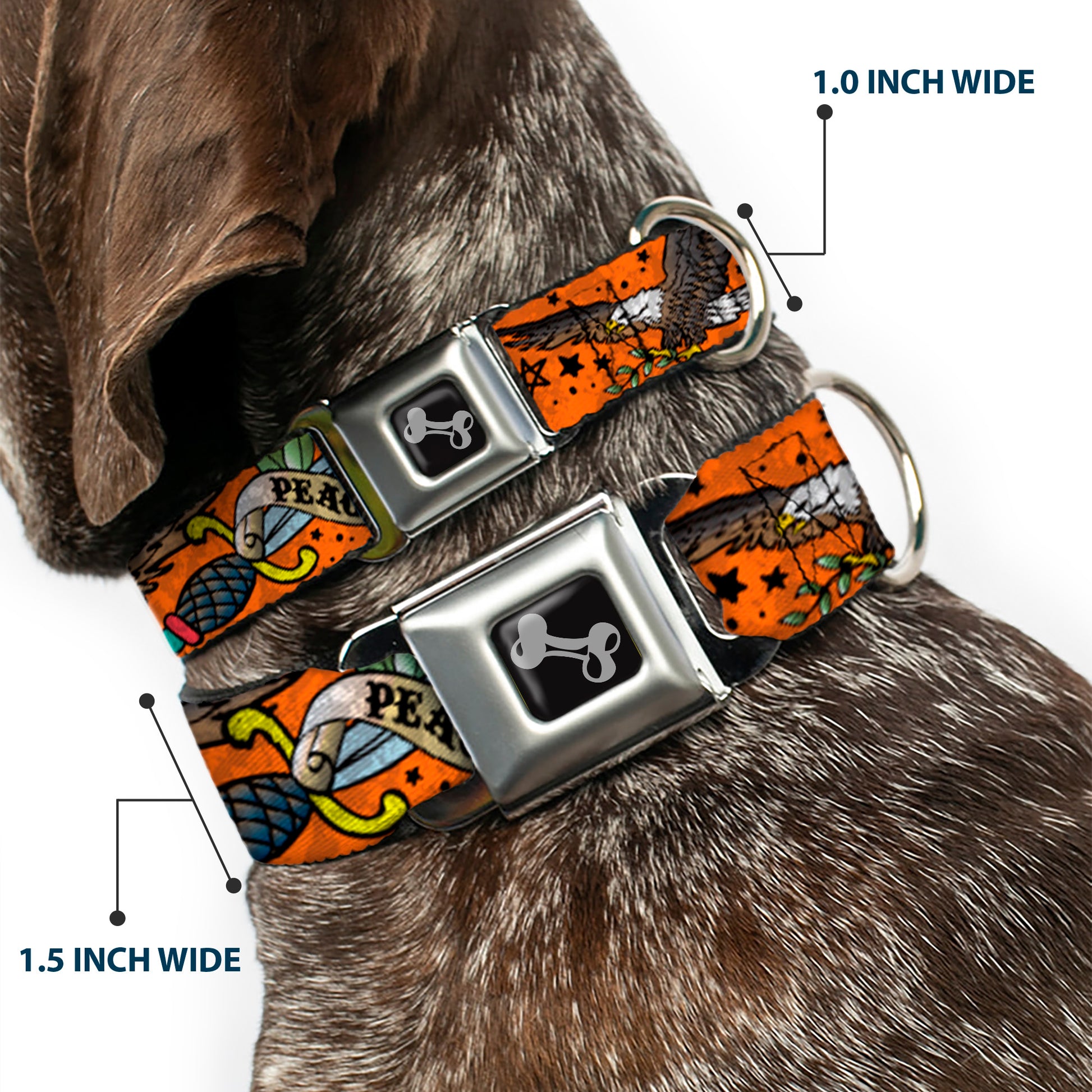Dog Bone Seatbelt Buckle Collar - Truth and Justice Orange Seatbelt Buckle Collars Buckle-Down