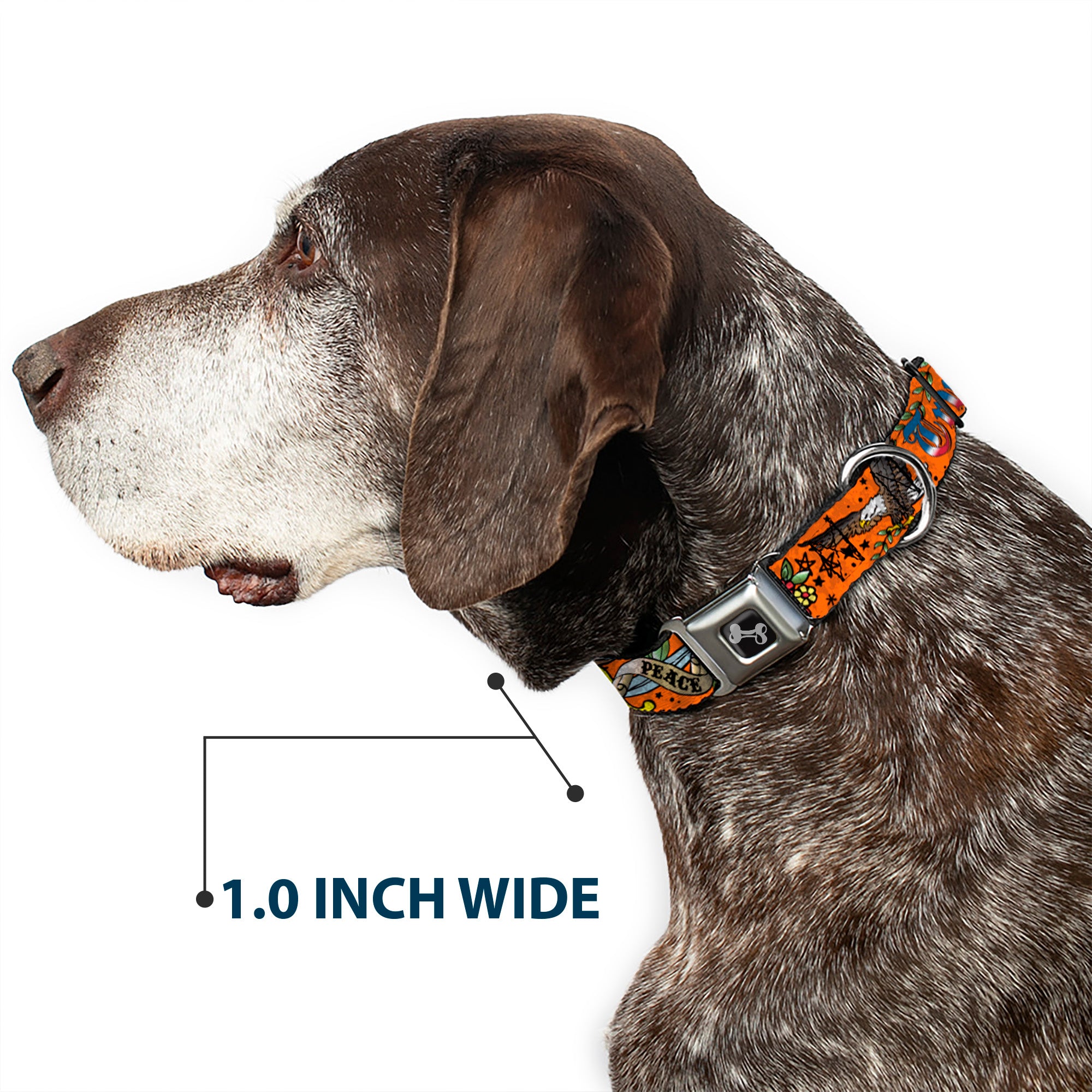 Dog Bone Seatbelt Buckle Collar - Truth and Justice Orange Seatbelt Buckle Collars Buckle-Down