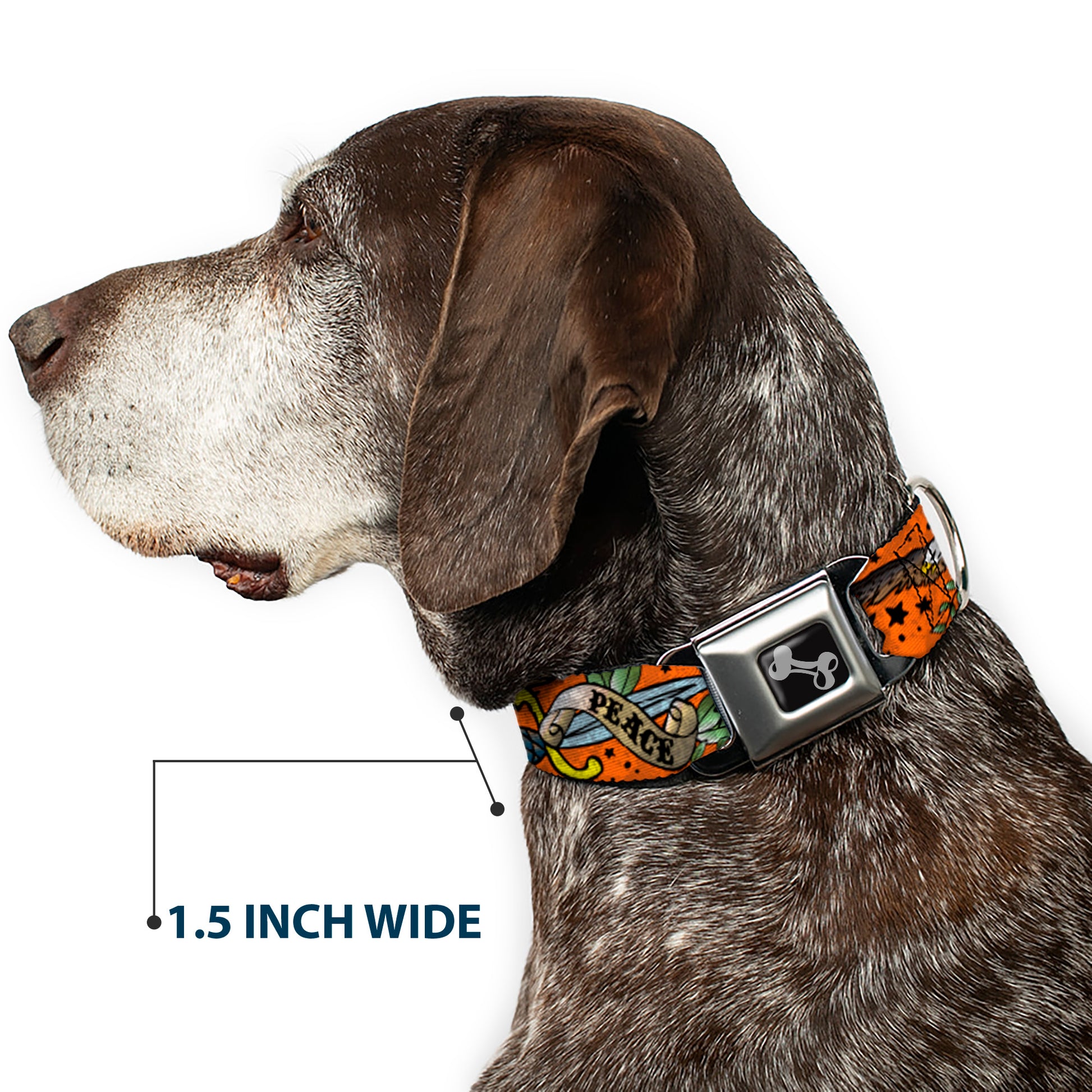 Dog Bone Seatbelt Buckle Collar - Truth and Justice Orange Seatbelt Buckle Collars Buckle-Down