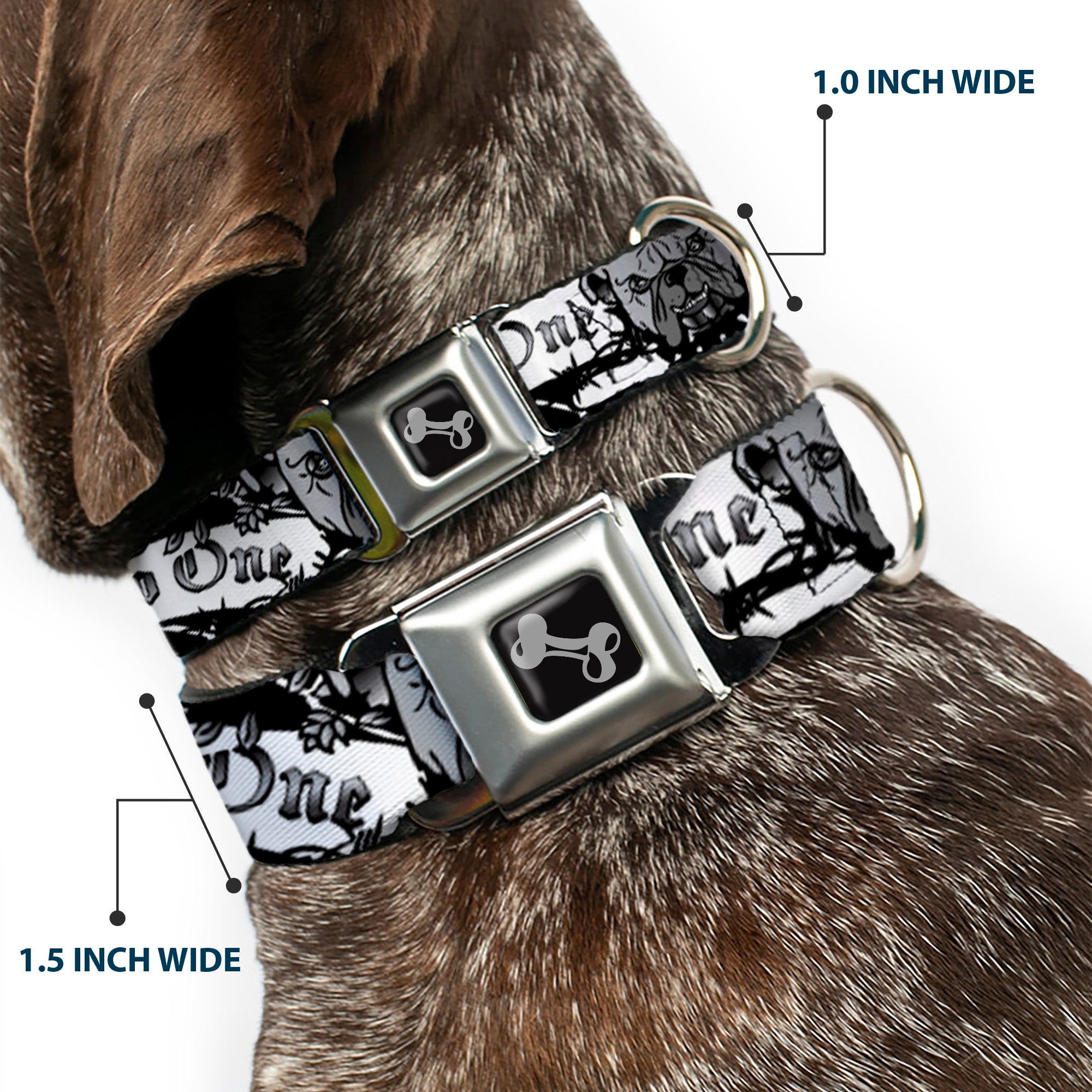 Dog Bone Seatbelt Buckle Collar - Trust No One Black/White Seatbelt Buckle Collars Buckle-Down