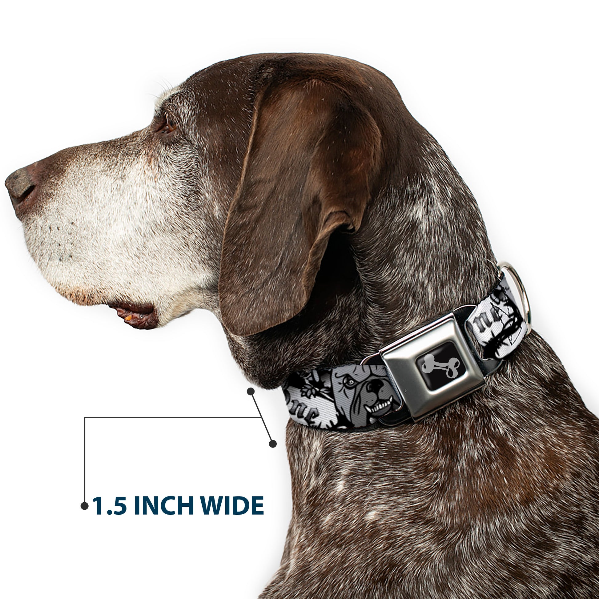Dog Bone Seatbelt Buckle Collar - Trust No One Black/White Seatbelt Buckle Collars Buckle-Down