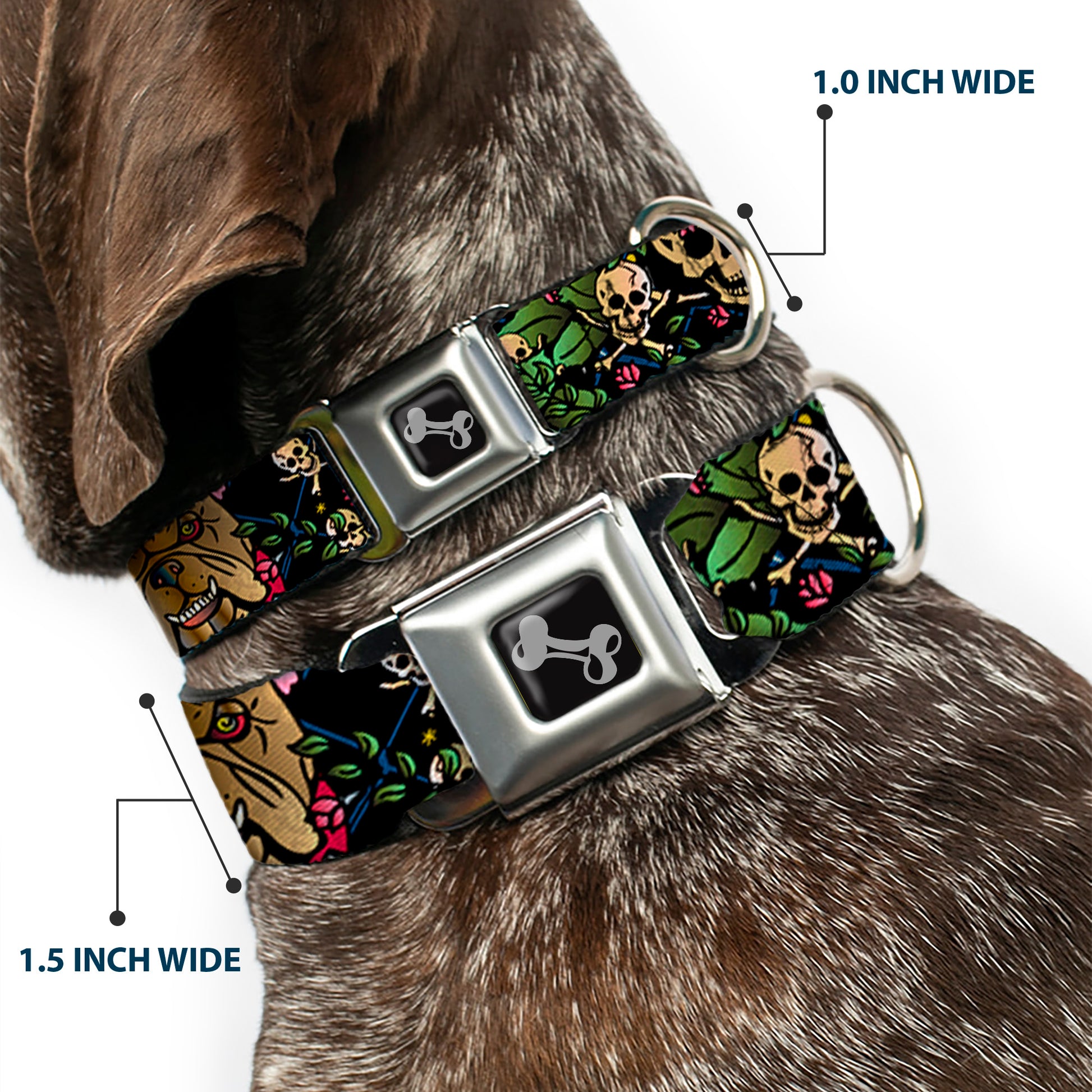Dog Bone Seatbelt Buckle Collar - Trust No One CLOSE-UP Black Seatbelt Buckle Collars Buckle-Down