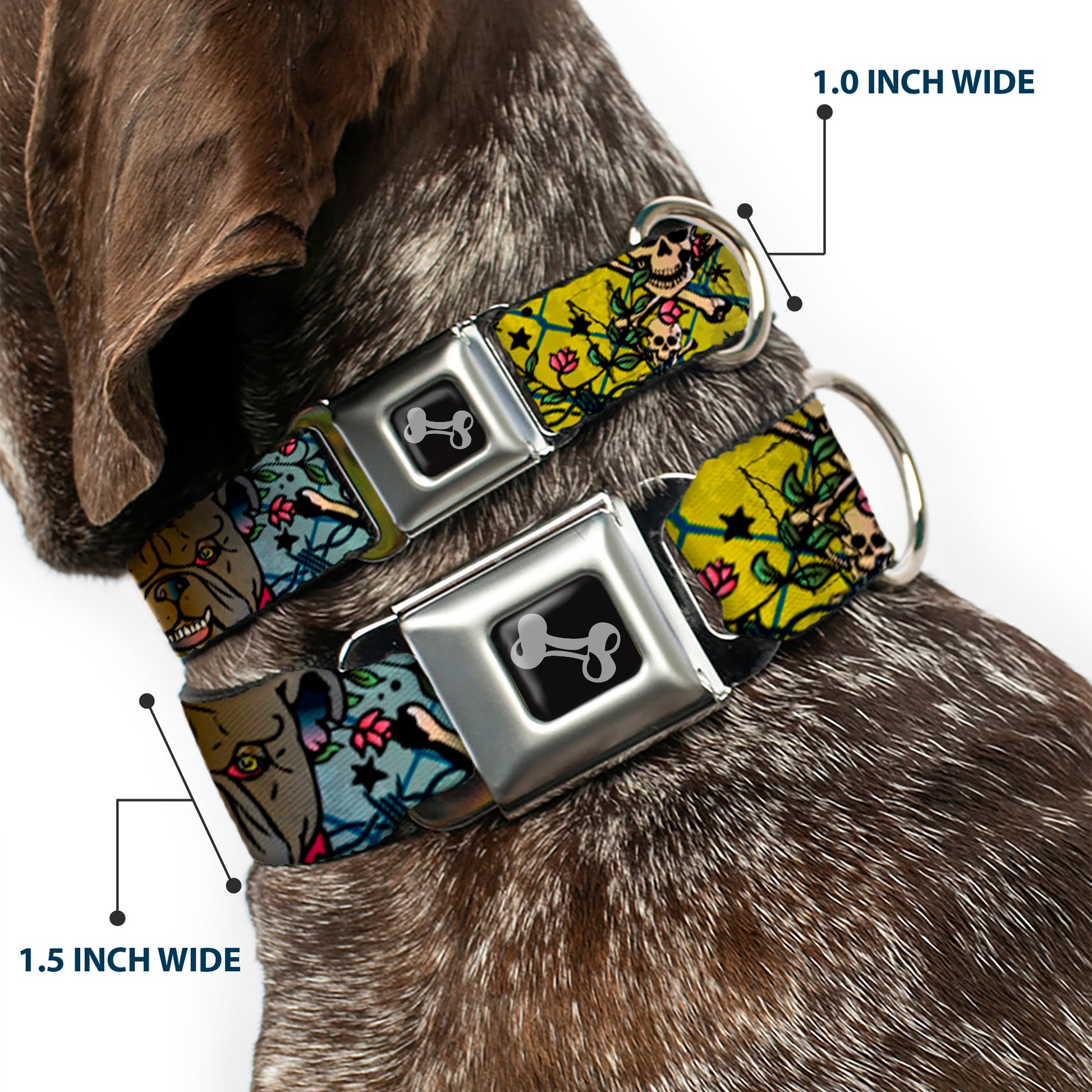 Dog Bone Seatbelt Buckle Collar - Trust No One CLOSE-UP Yellow/Green/Blue-S Seatbelt Buckle Collars Buckle-Down