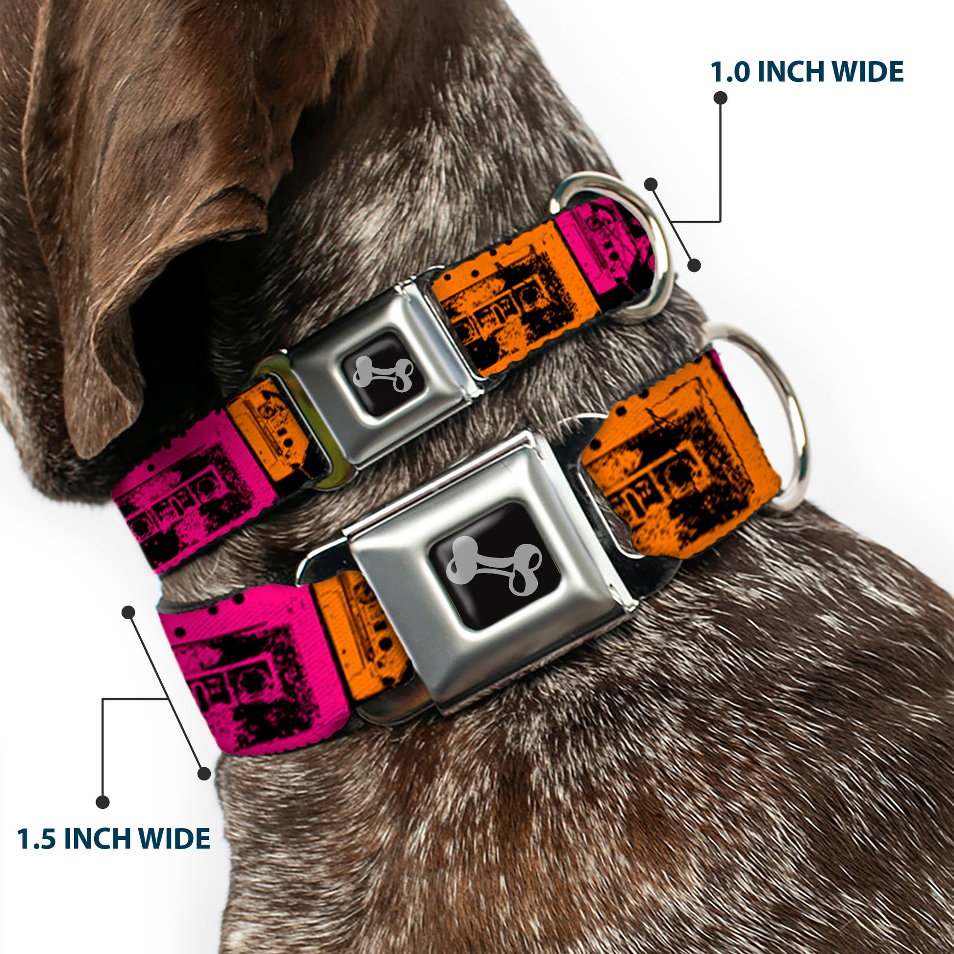 Dog Bone Seatbelt Buckle Collar - Tapes Multi Neon Seatbelt Buckle Collars Buckle-Down