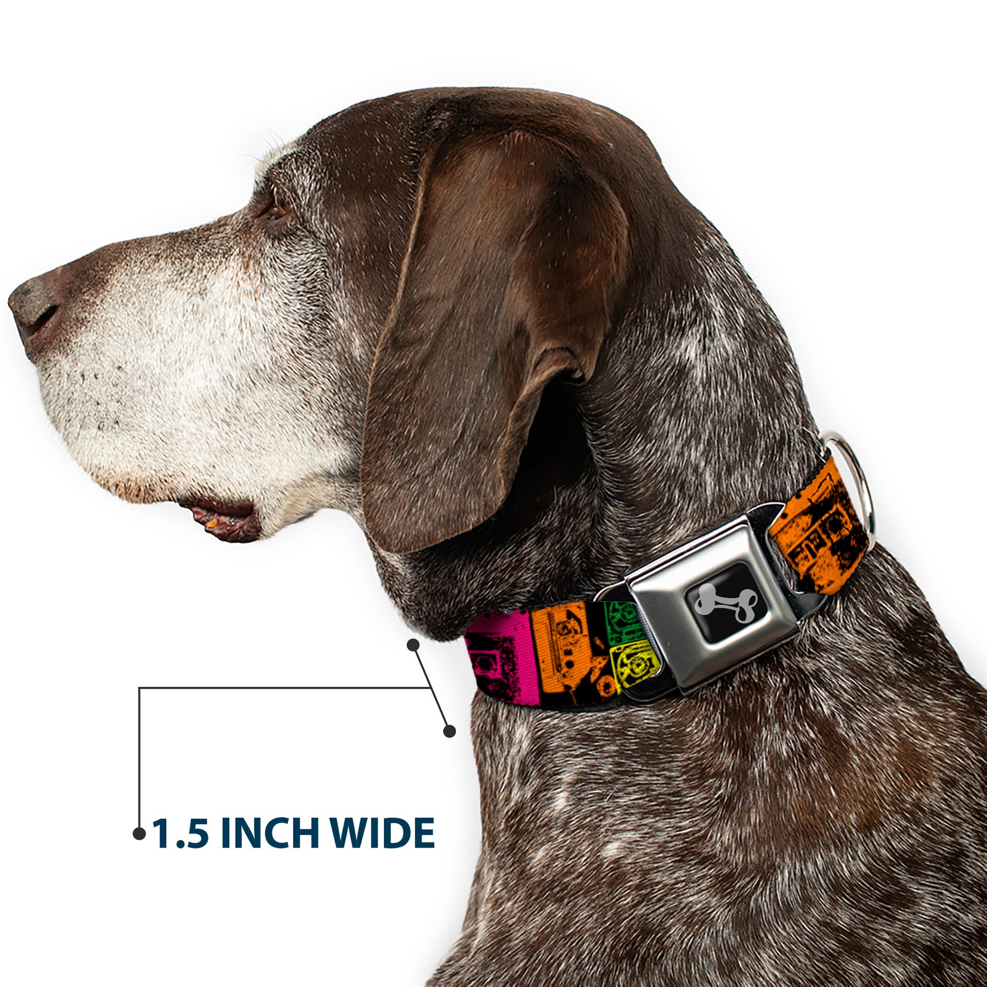 Dog Bone Seatbelt Buckle Collar - Tapes Multi Neon Seatbelt Buckle Collars Buckle-Down