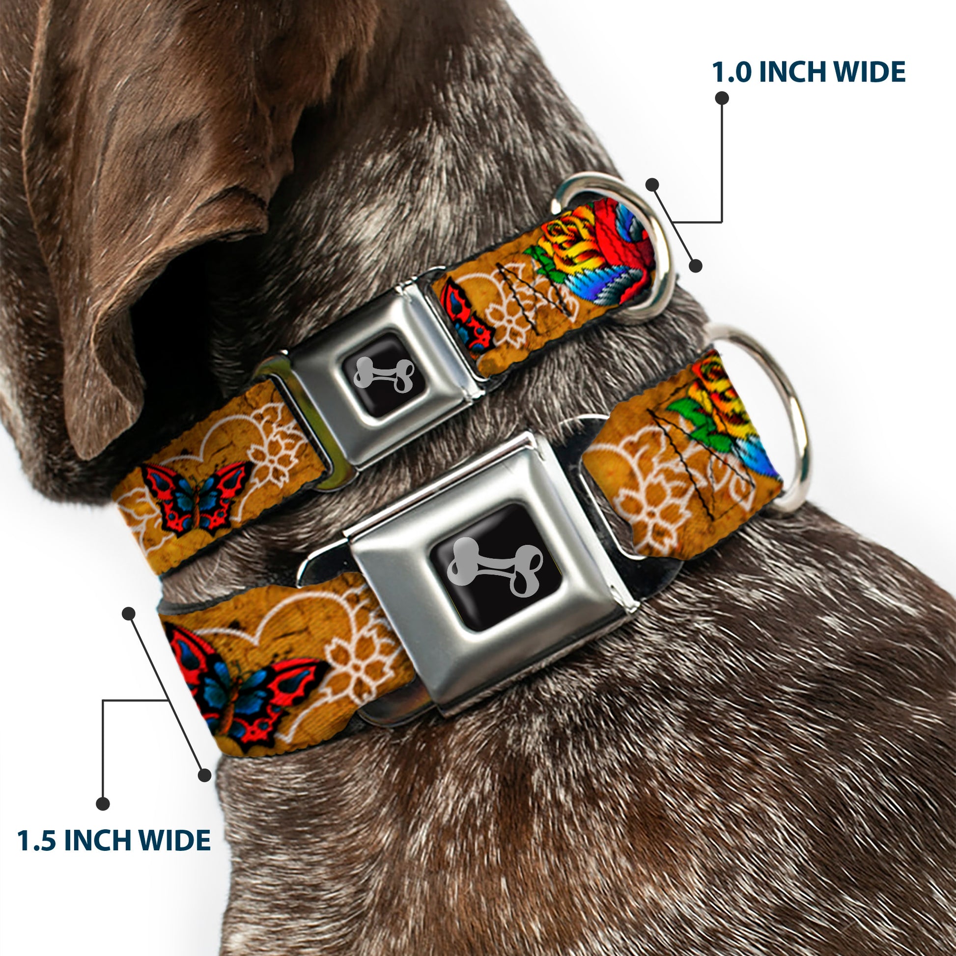 Dog Bone Seatbelt Buckle Collar - TJ-Bird & Rose Seatbelt Buckle Collars Tattoo Johnny