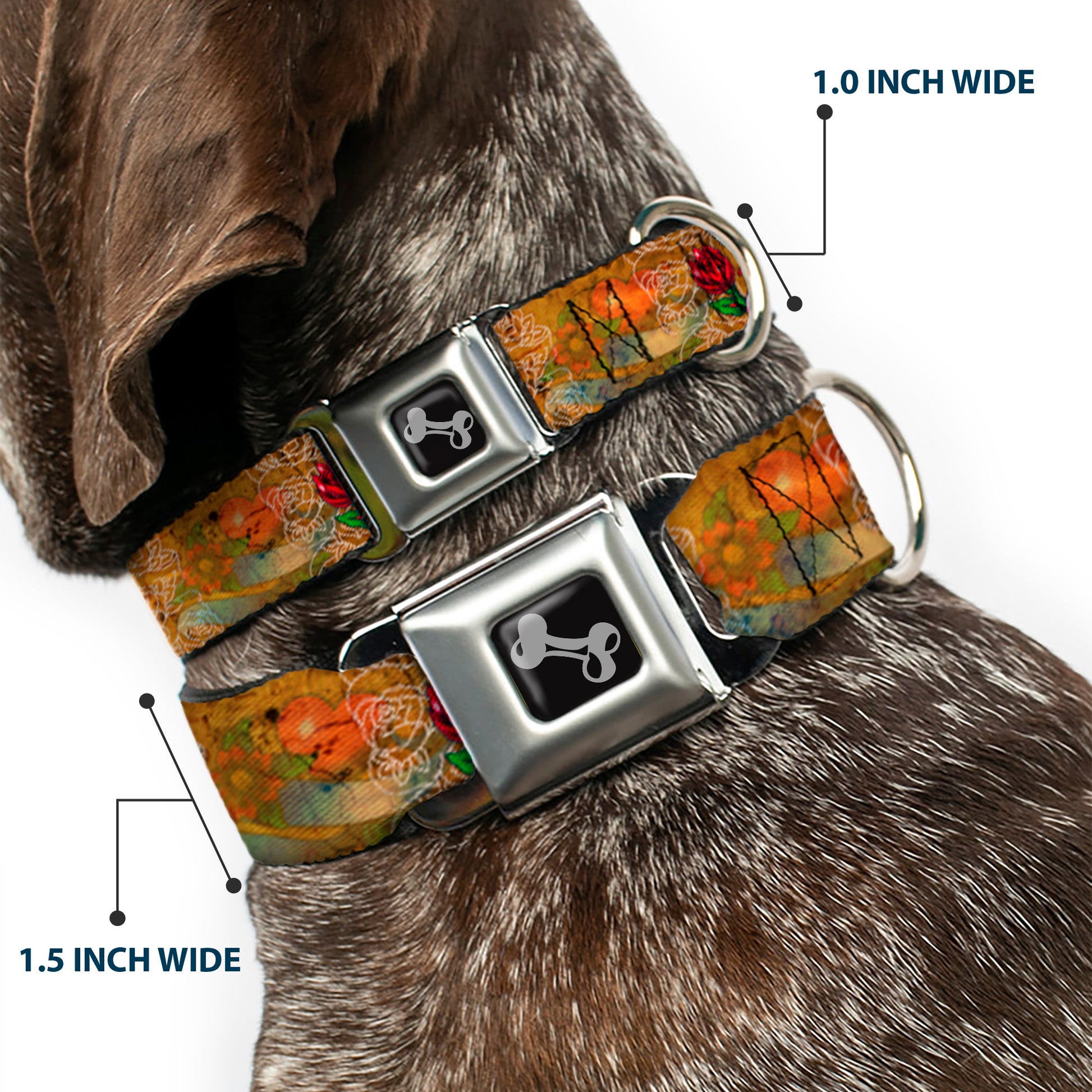 Dog Bone Seatbelt Buckle Collar - TJ-Blonde Seatbelt Buckle Collars Tattoo Johnny