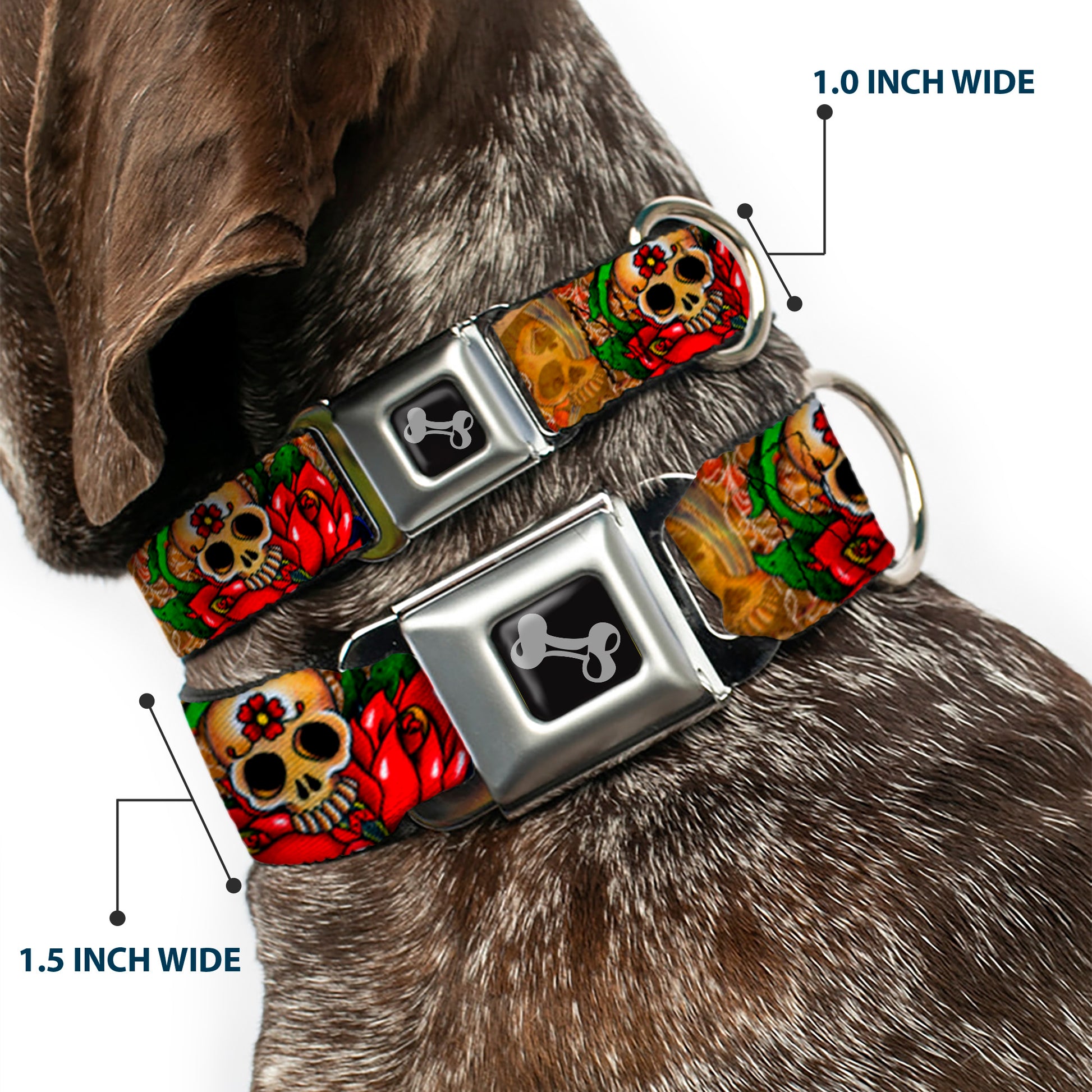 Dog Bone Seatbelt Buckle Collar - TJ-Dagger Seatbelt Buckle Collars Tattoo Johnny