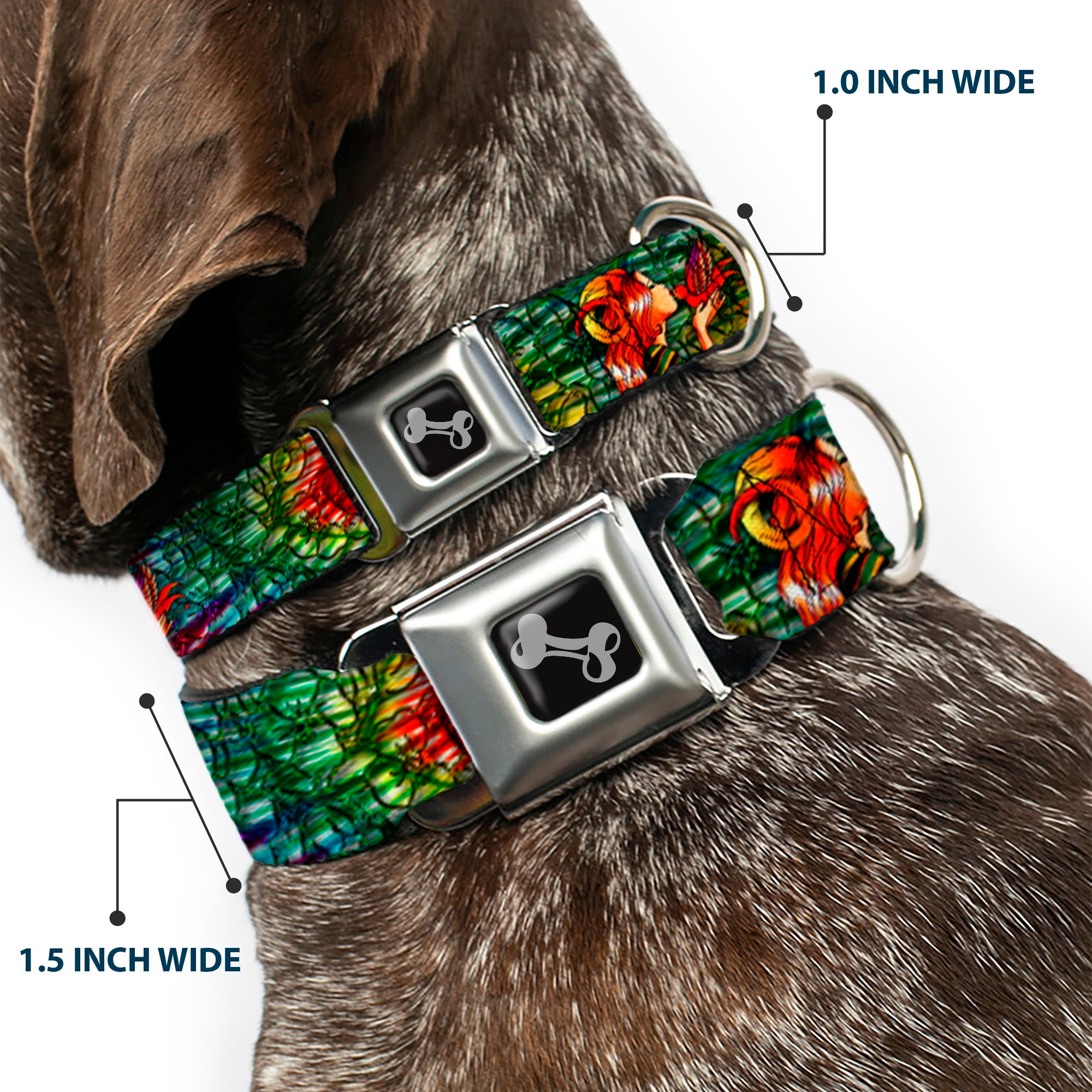 Dog Bone Seatbelt Buckle Collar - TJ-Bird Kiss Seatbelt Buckle Collars Tattoo Johnny