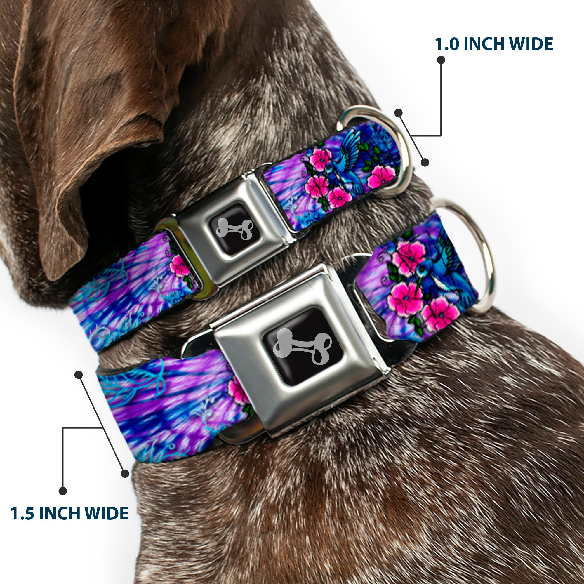 Dog Bone Seatbelt Buckle Collar - TJ-Hummingbird Seatbelt Buckle Collars Tattoo Johnny