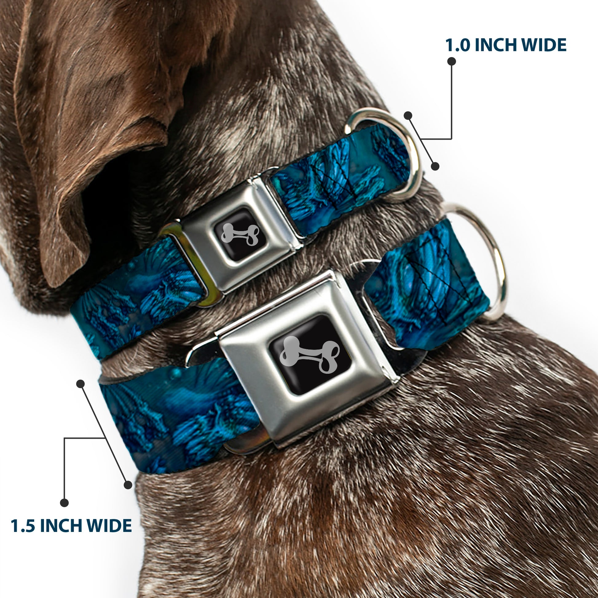Dog Bone Seatbelt Buckle Collar - TJ-Brutal Blue Seatbelt Buckle Collars Tattoo Johnny