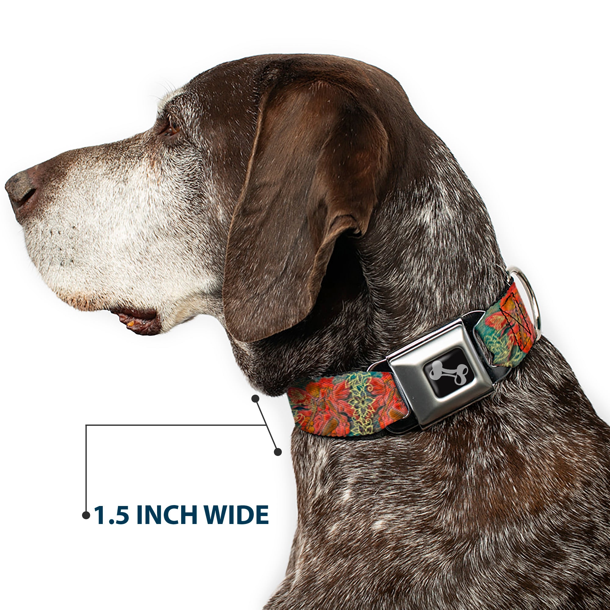 Dog Bone Seatbelt Buckle Collar - TJ-Andrea Red Fairy 3 Seatbelt Buckle Collars Tattoo Johnny
