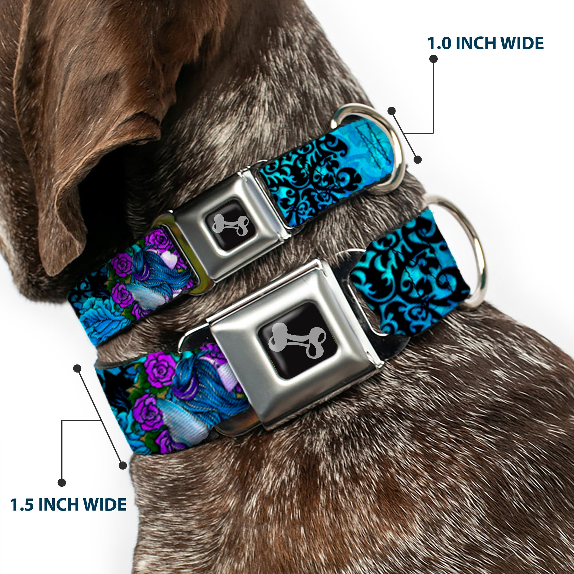 Dog Bone Seatbelt Buckle Collar - TJ-Fairy Blue Hair Seatbelt Buckle Collars Tattoo Johnny