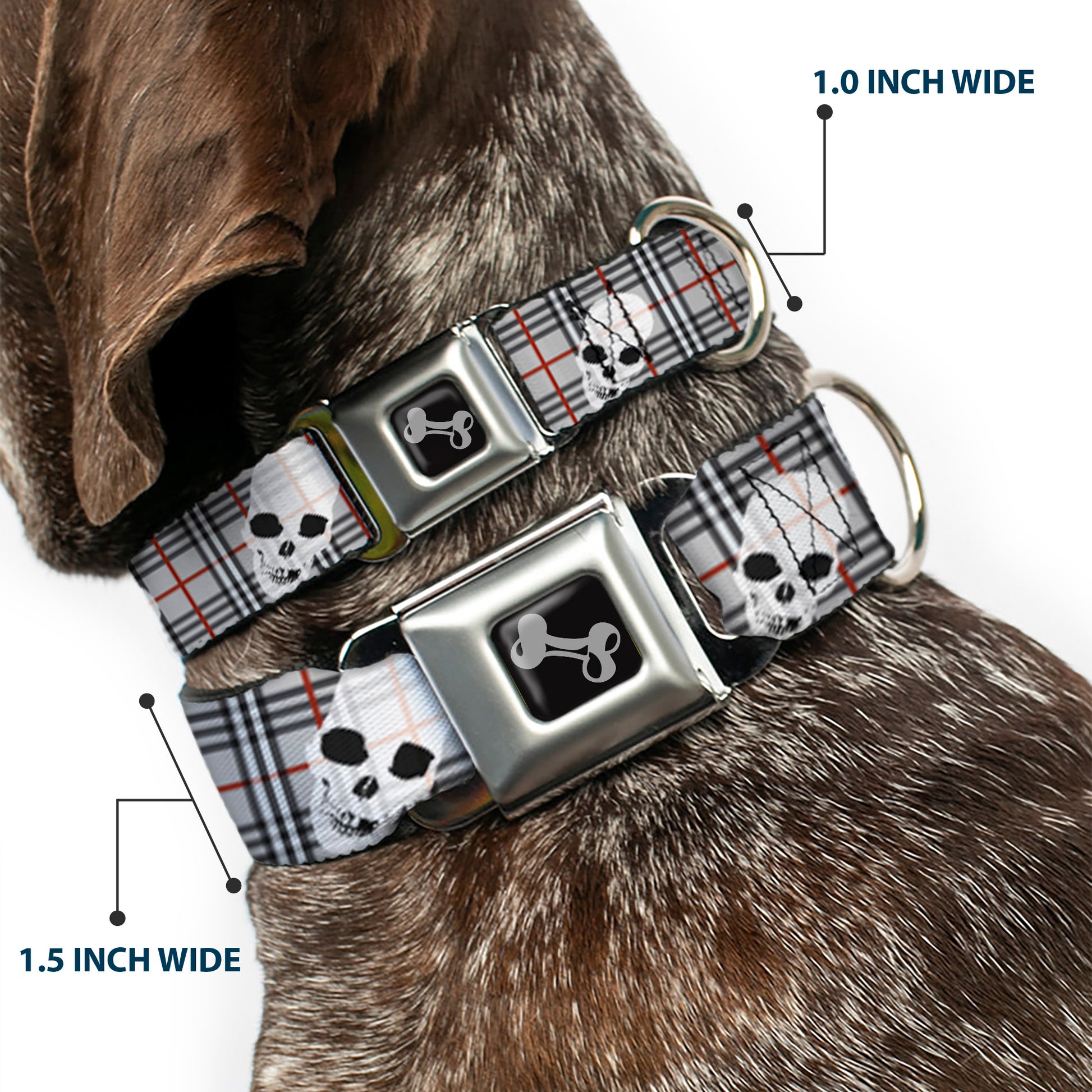 Dog Bone Seatbelt Buckle Collar - Tilted Skulls Plaid Gray Seatbelt Buckle Collars Buckle-Down