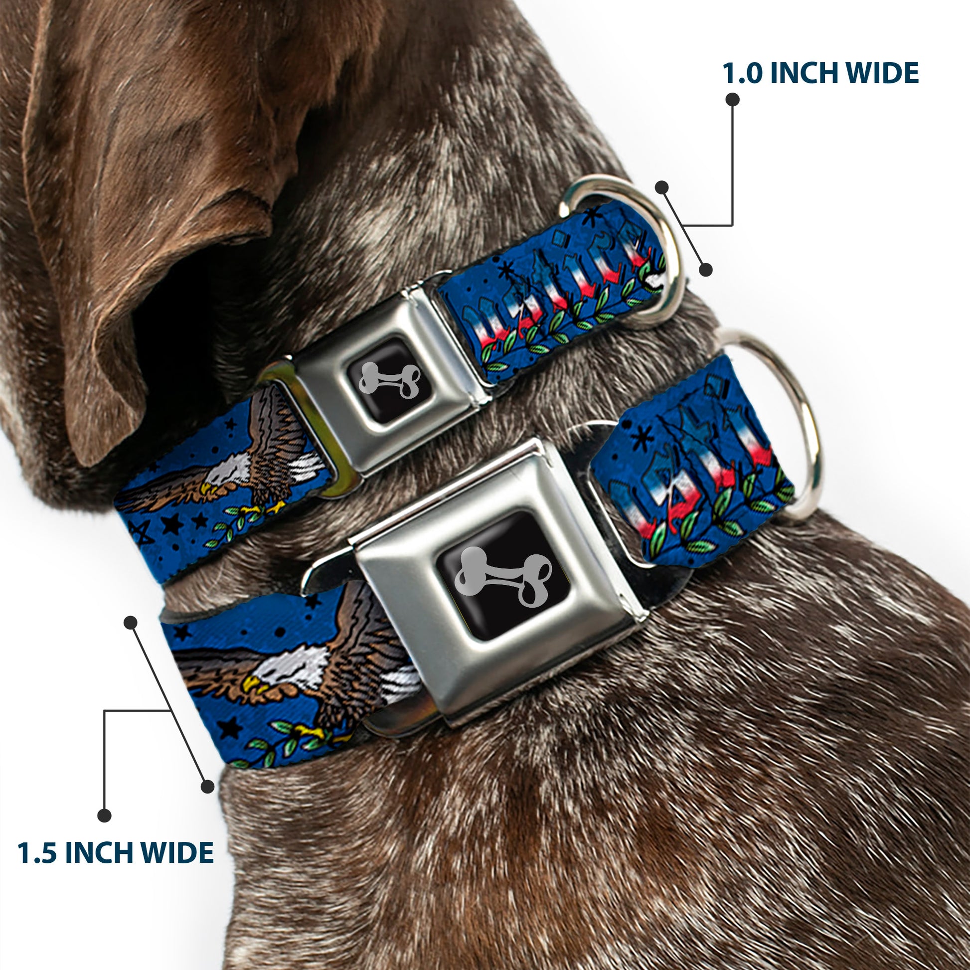 Dog Bone Seatbelt Buckle Collar - Truth and Justice Blue Seatbelt Buckle Collars Buckle-Down