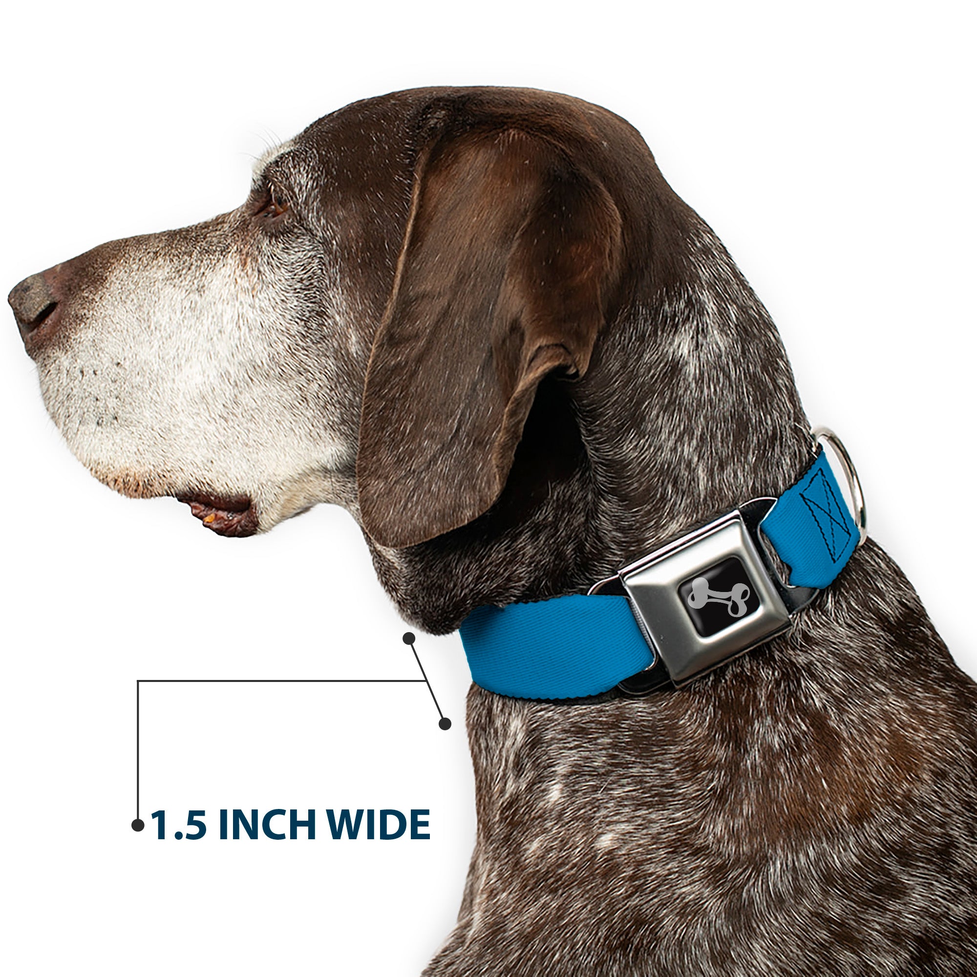 Dog Bone Seatbelt Buckle Collar - Turquoise Seatbelt Buckle Collars Buckle-Down