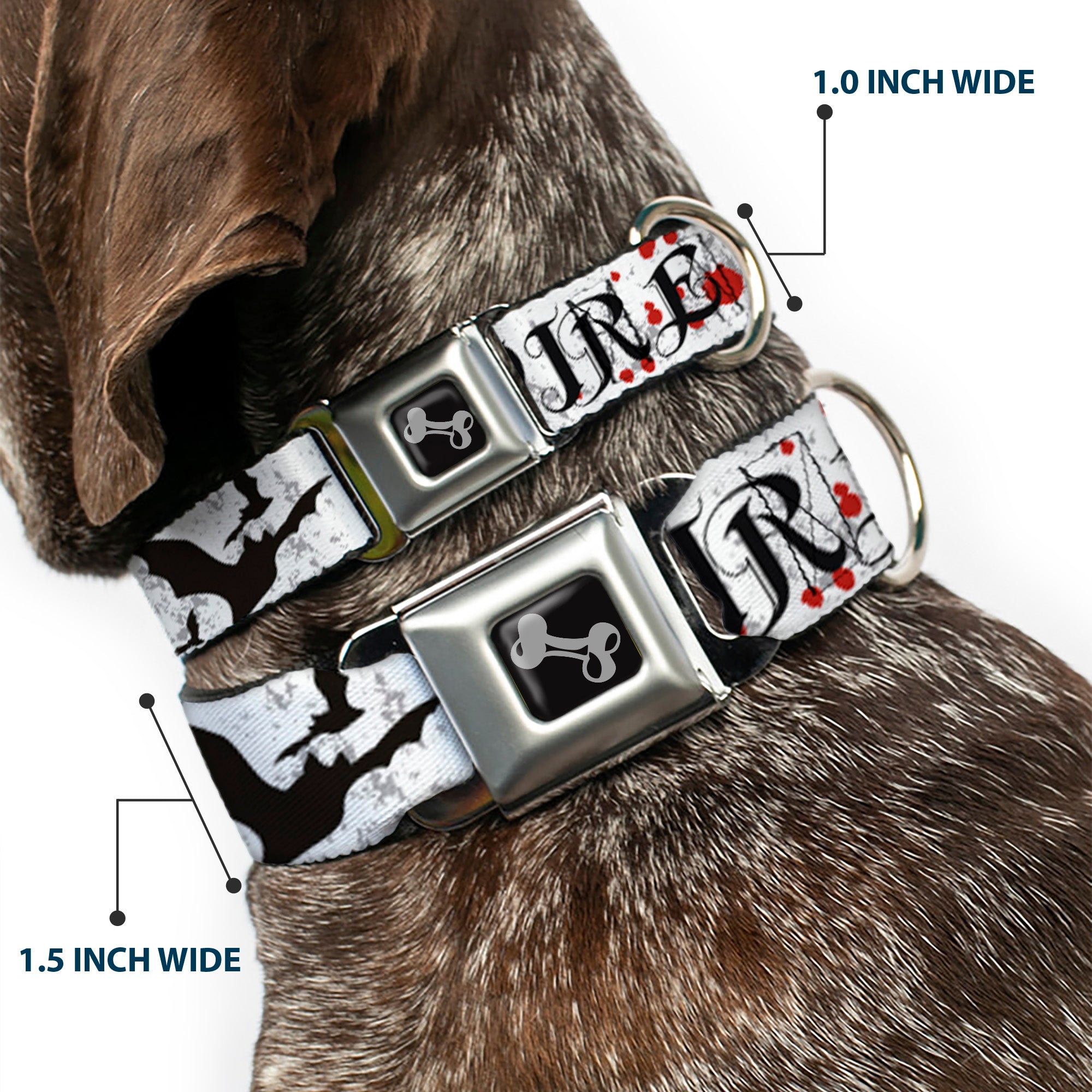 Dog Bone Seatbelt Buckle Collar - Team Vampire Seatbelt Buckle Collars Buckle-Down