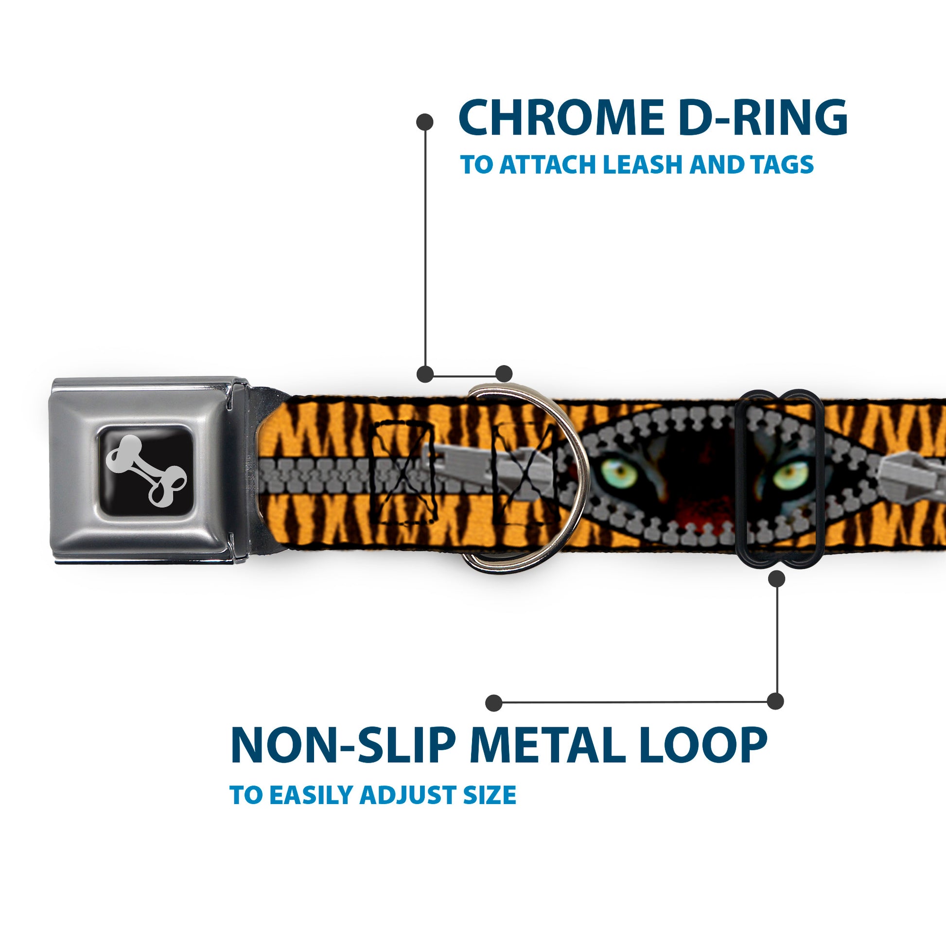 Dog Bone Seatbelt Buckle Collar - Tiger Eyes Seatbelt Buckle Collars Buckle-Down