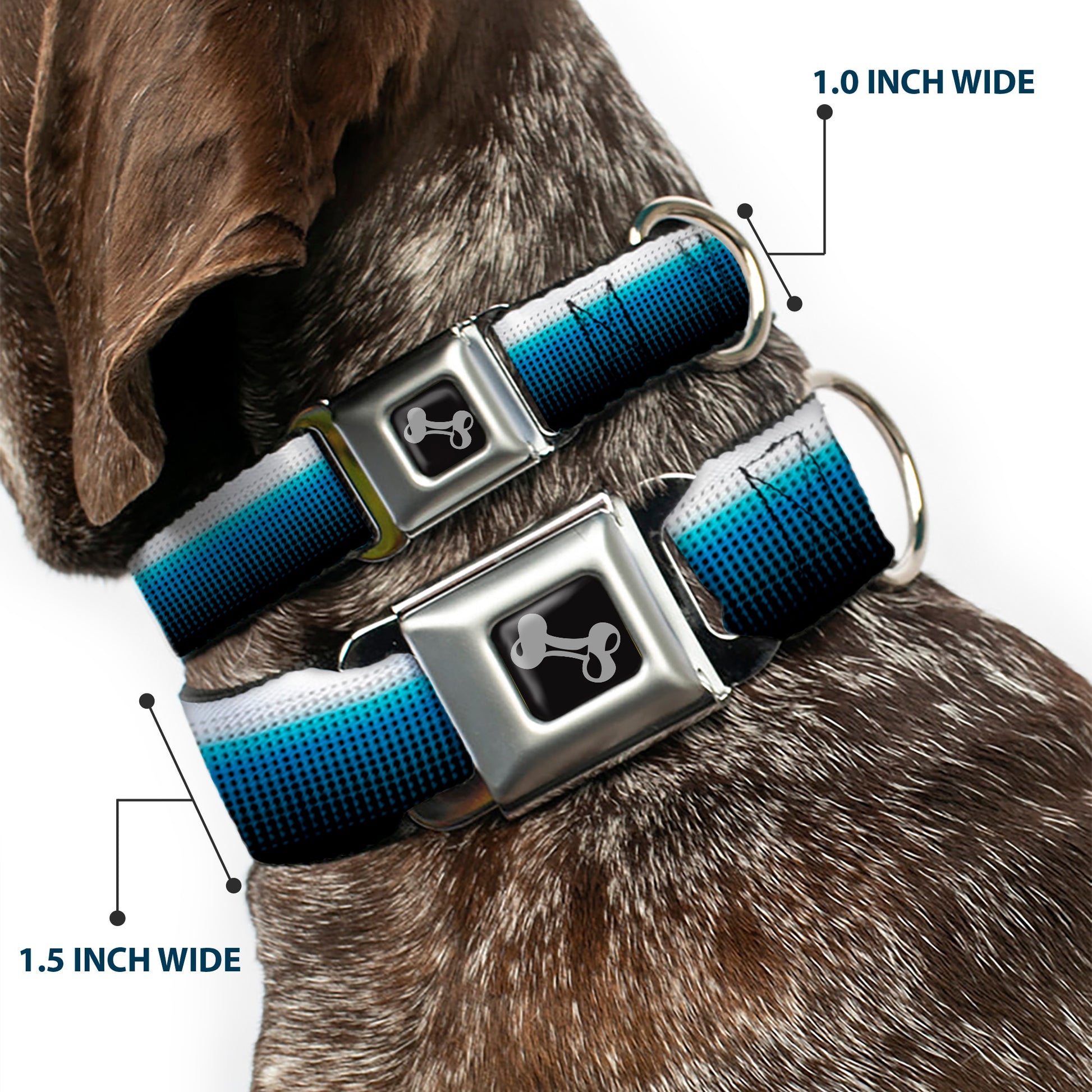 Dog Bone Seatbelt Buckle Collar - Transitioning Dots White/Blue/Black Seatbelt Buckle Collars Buckle-Down