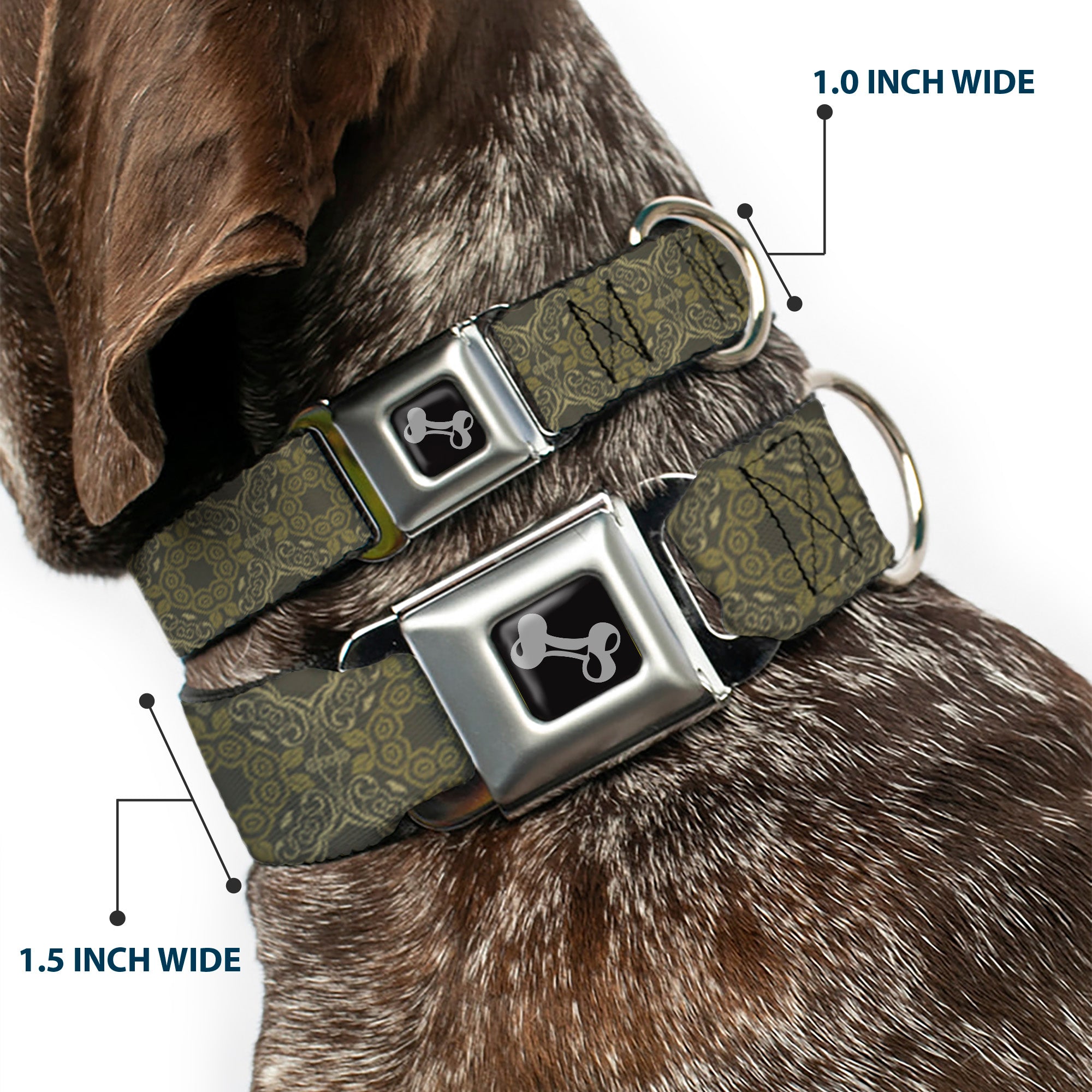 Dog Bone Seatbelt Buckle Collar - Tapestry Charcoal/Olive Seatbelt Buckle Collars Buckle-Down