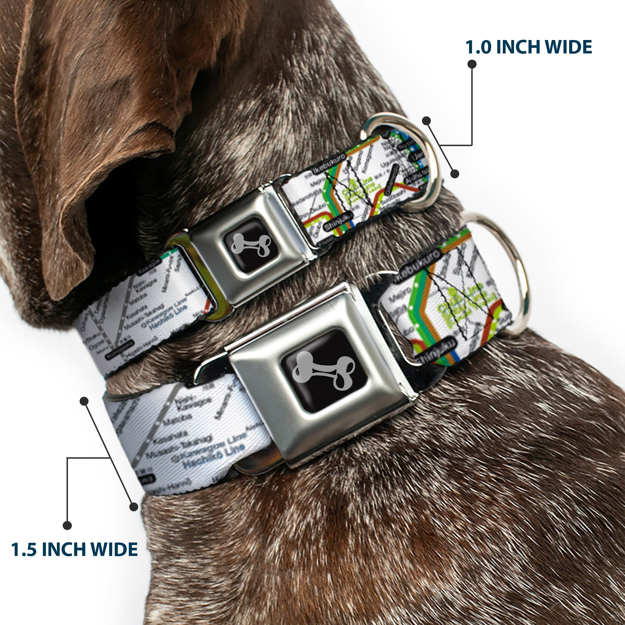 Dog Bone Seatbelt Buckle Collar - Tokyo Subway Seatbelt Buckle Collars Buckle-Down