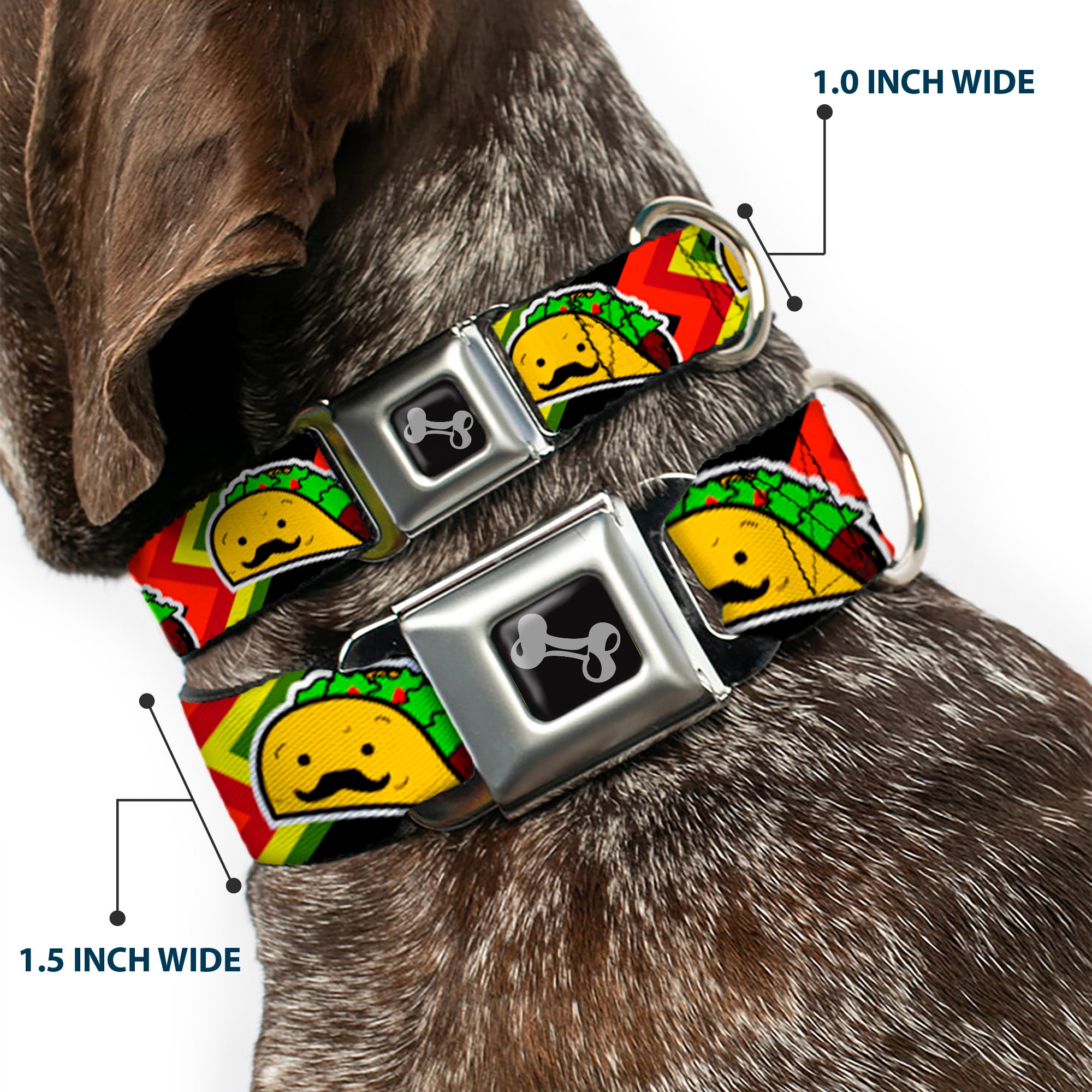 Dog Bone Seatbelt Buckle Collar - Taco Man Seatbelt Buckle Collars Buckle-Down