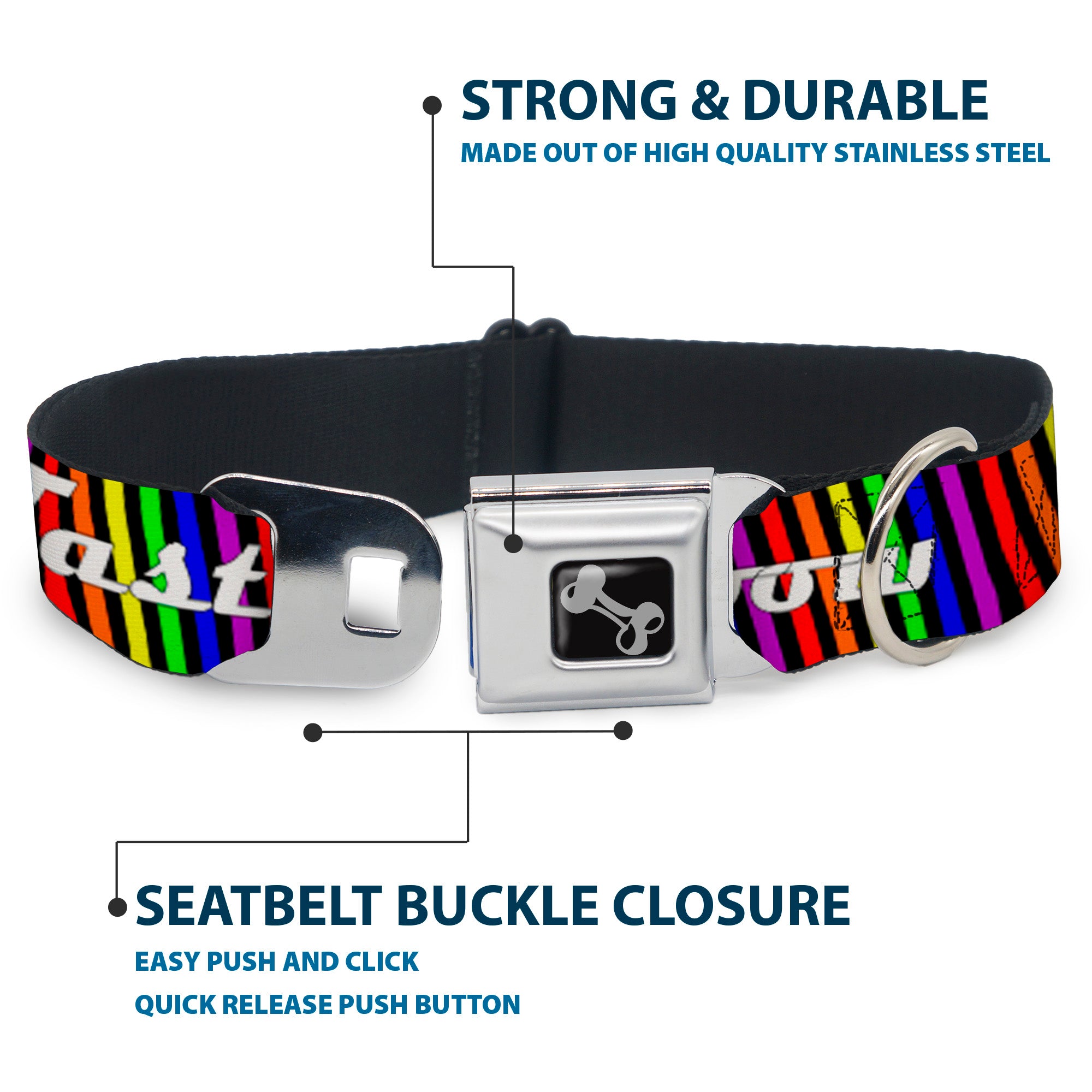 Buckle-Down Seatbelt Buckle Dog Collar - TASTE MY RAINBOW Black/Multi Color Seatbelt Buckle Collars Buckle-Down