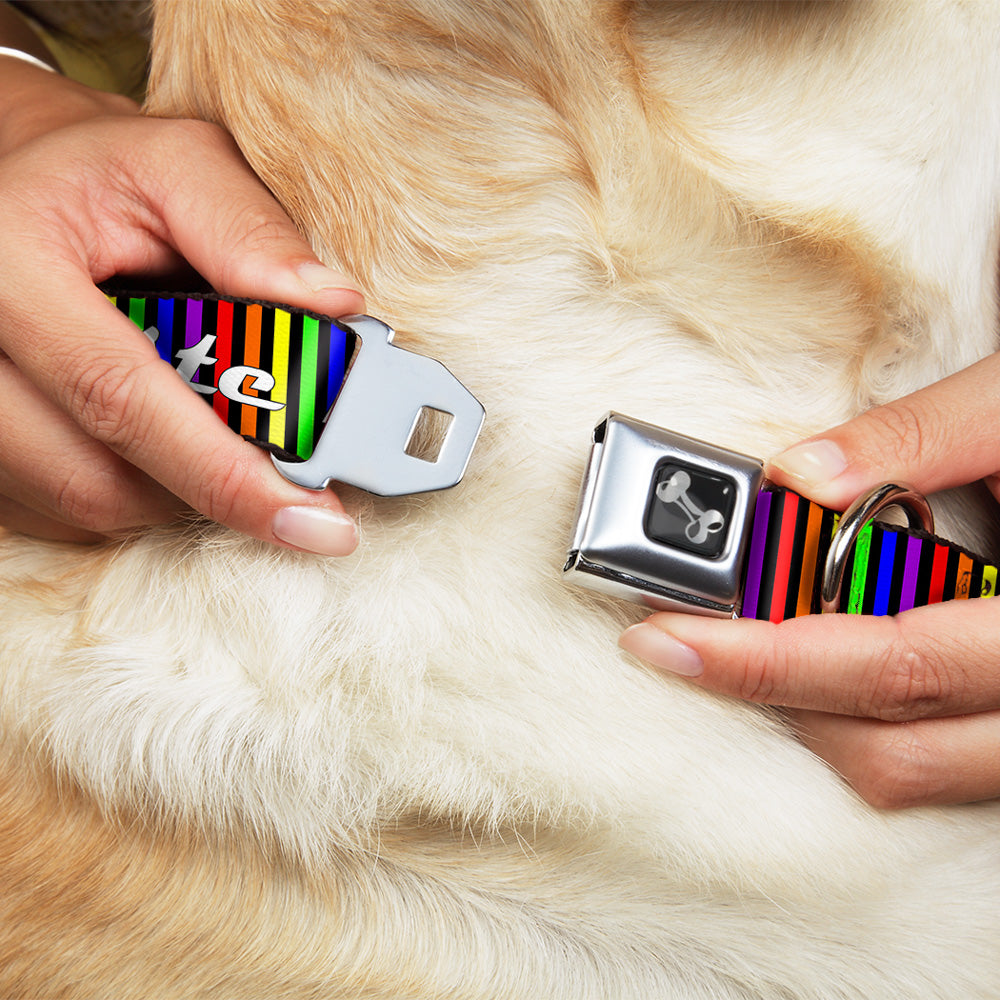 Buckle-Down Seatbelt Buckle Dog Collar - TASTE MY RAINBOW Black/Multi Color Seatbelt Buckle Collars Buckle-Down