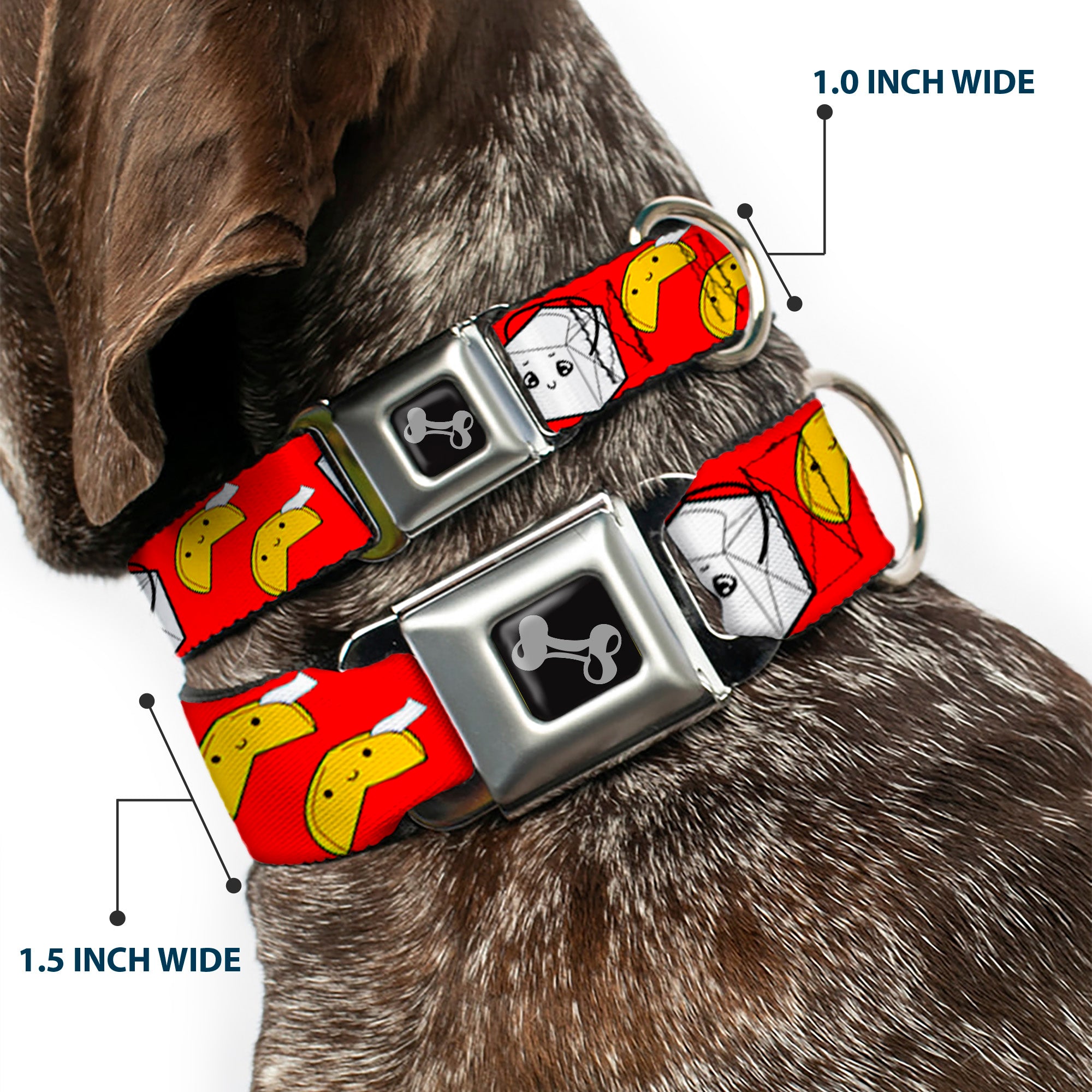 Dog Bone Seatbelt Buckle Collar - Take Out/Fortune Cookies Red Seatbelt Buckle Collars Buckle-Down