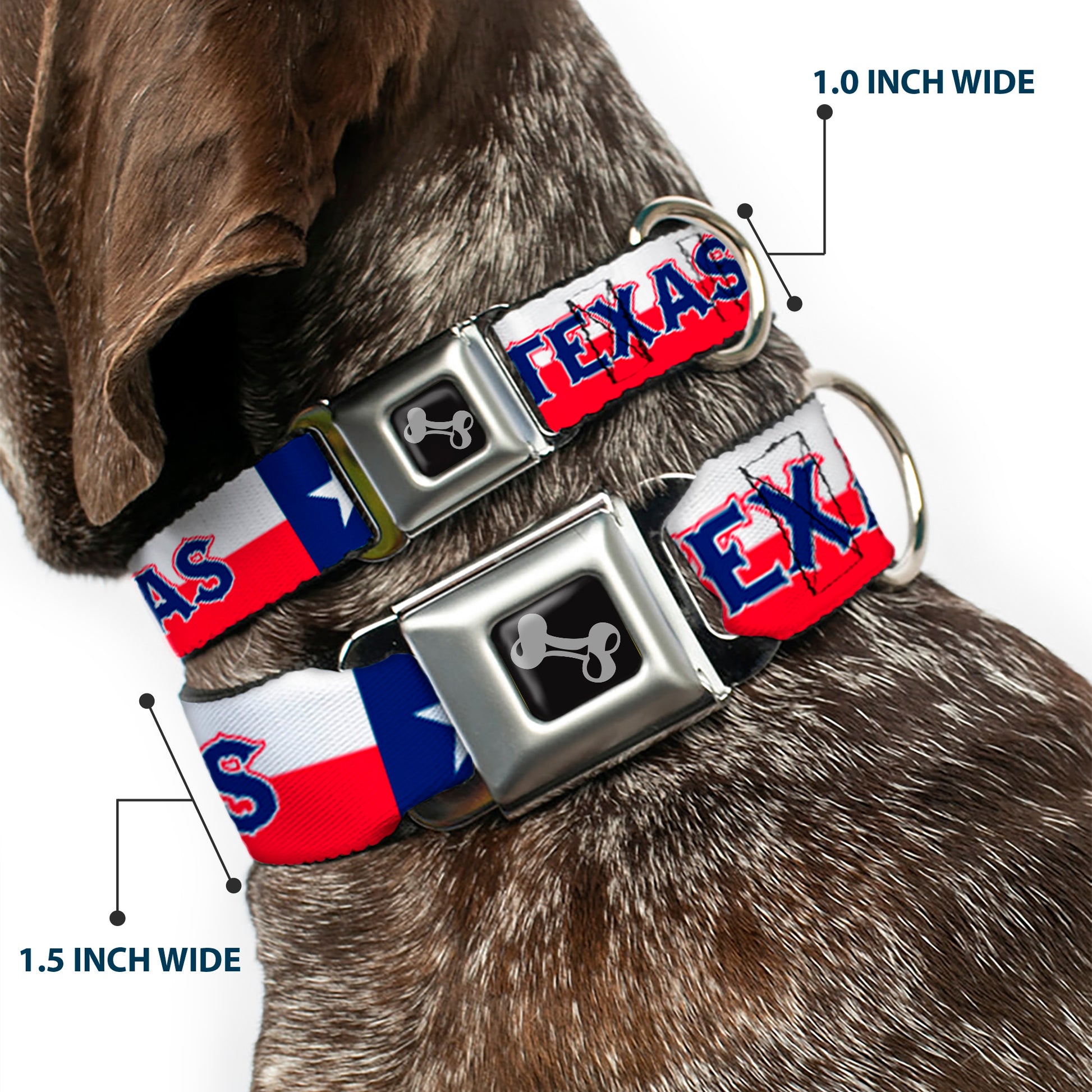 Dog Bone Seatbelt Buckle Collar - Texas Flag/TEXAS Seatbelt Buckle Collars Buckle-Down